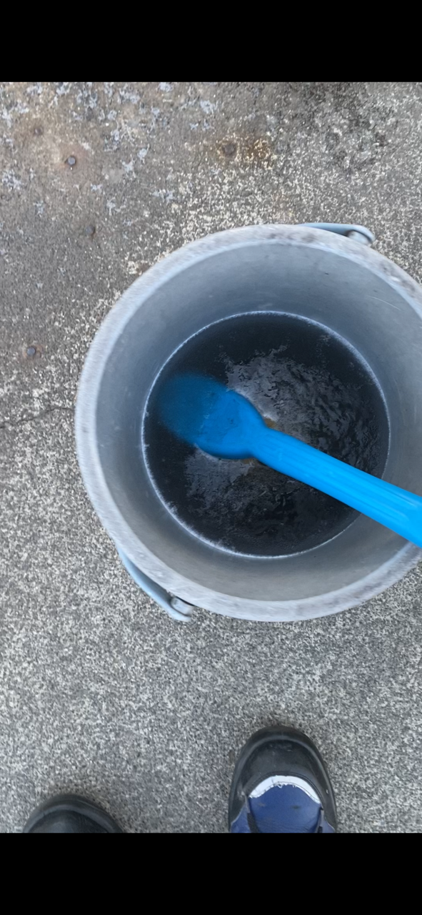 冬の車メンテナンスポイント解説 セルフ高橋SSで安心ドライブ🚗