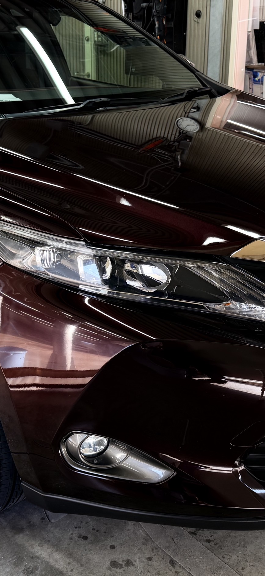 春の愛車メンテナンス術🌸洗車＆点検で安心ドライブをサポート