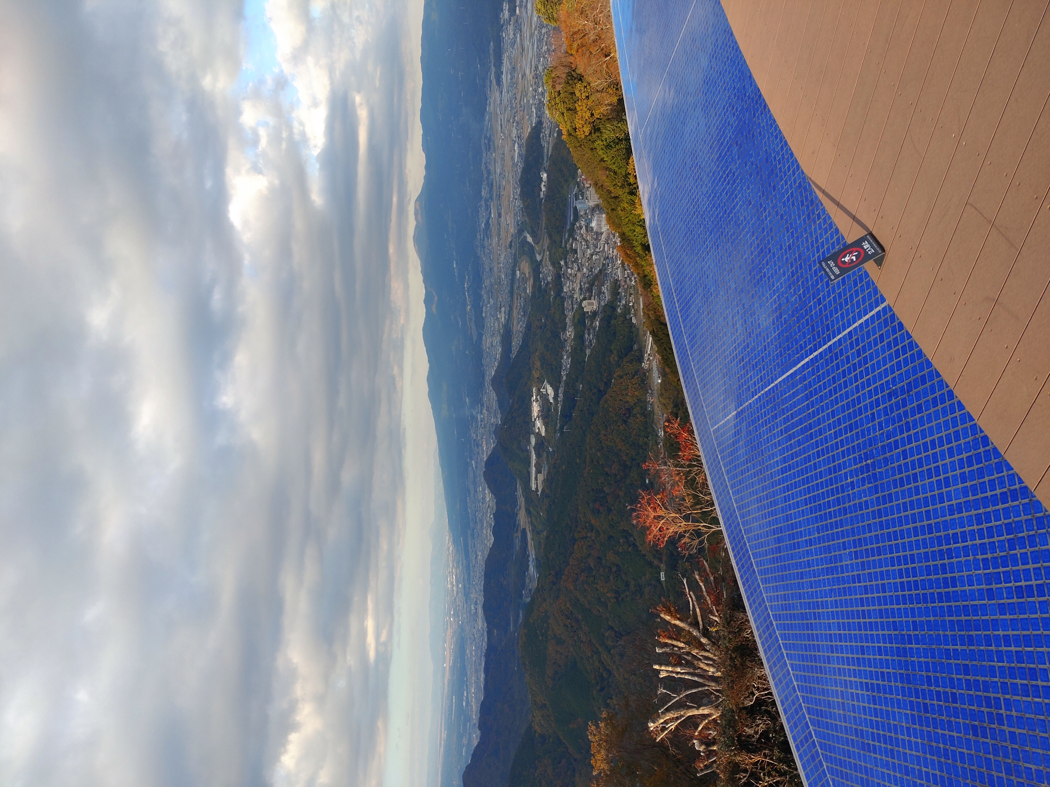 秋のドライブ前後におすすめ洗車と点検で愛車ピカピカに🚗