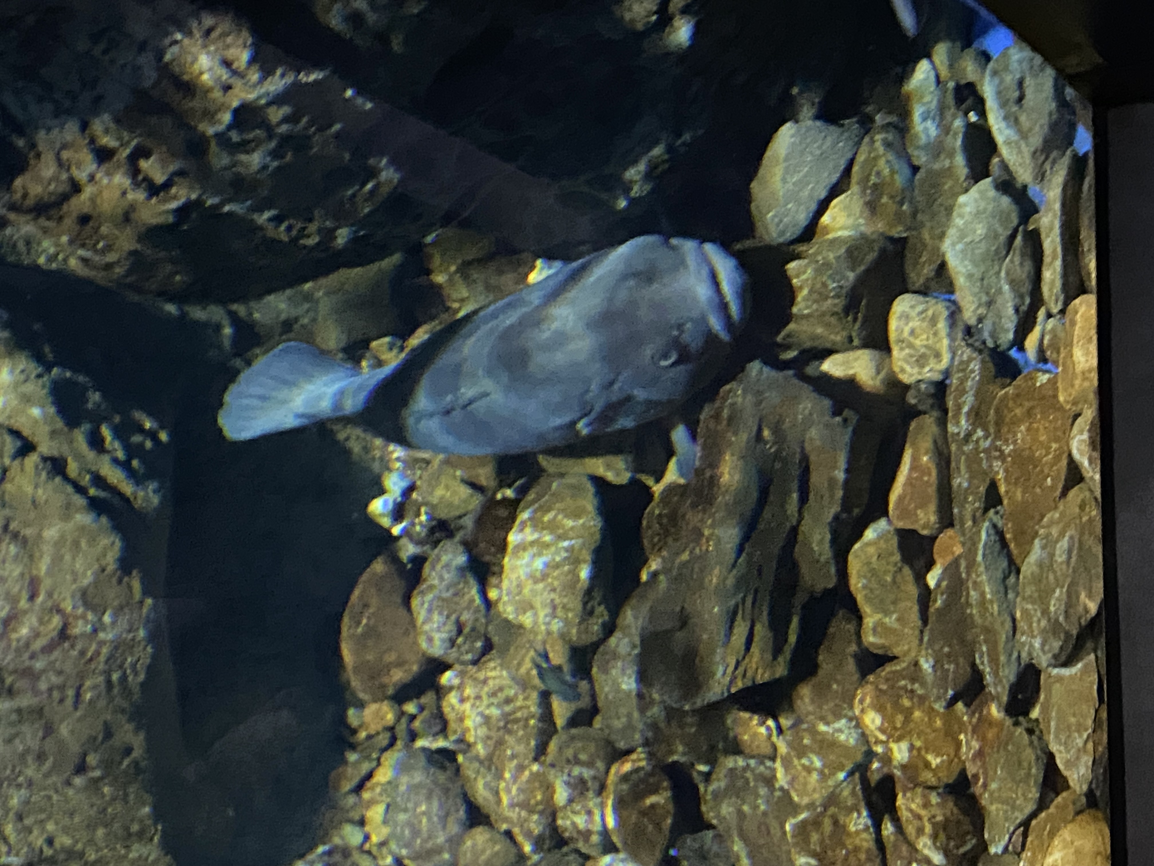 寒さ対策も安心セルフ高橋SSの洗車＆冬の愛車点検🚗