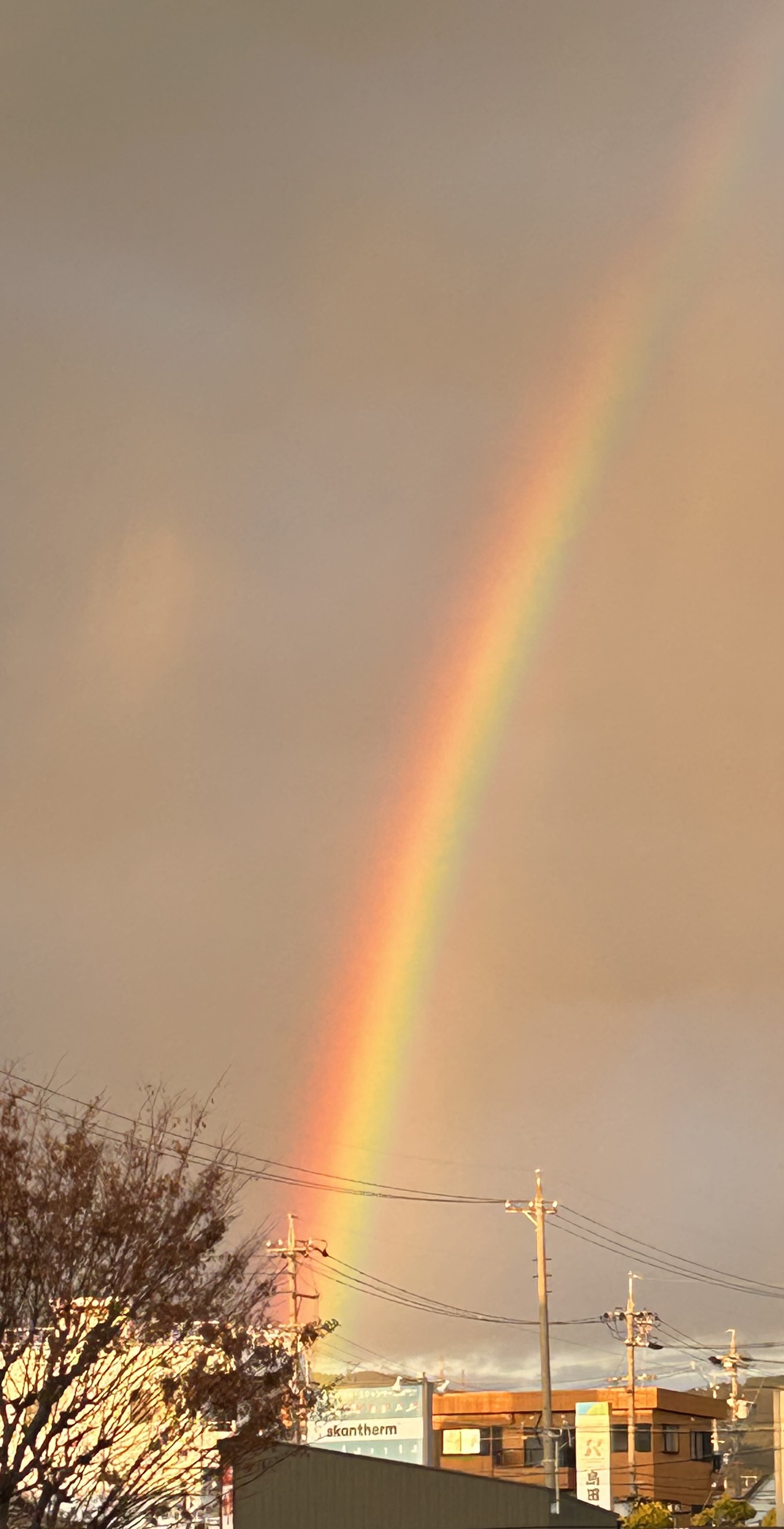 冬の愛車メンテナンスとお得なコーティングキャンペーン情報🚗✨