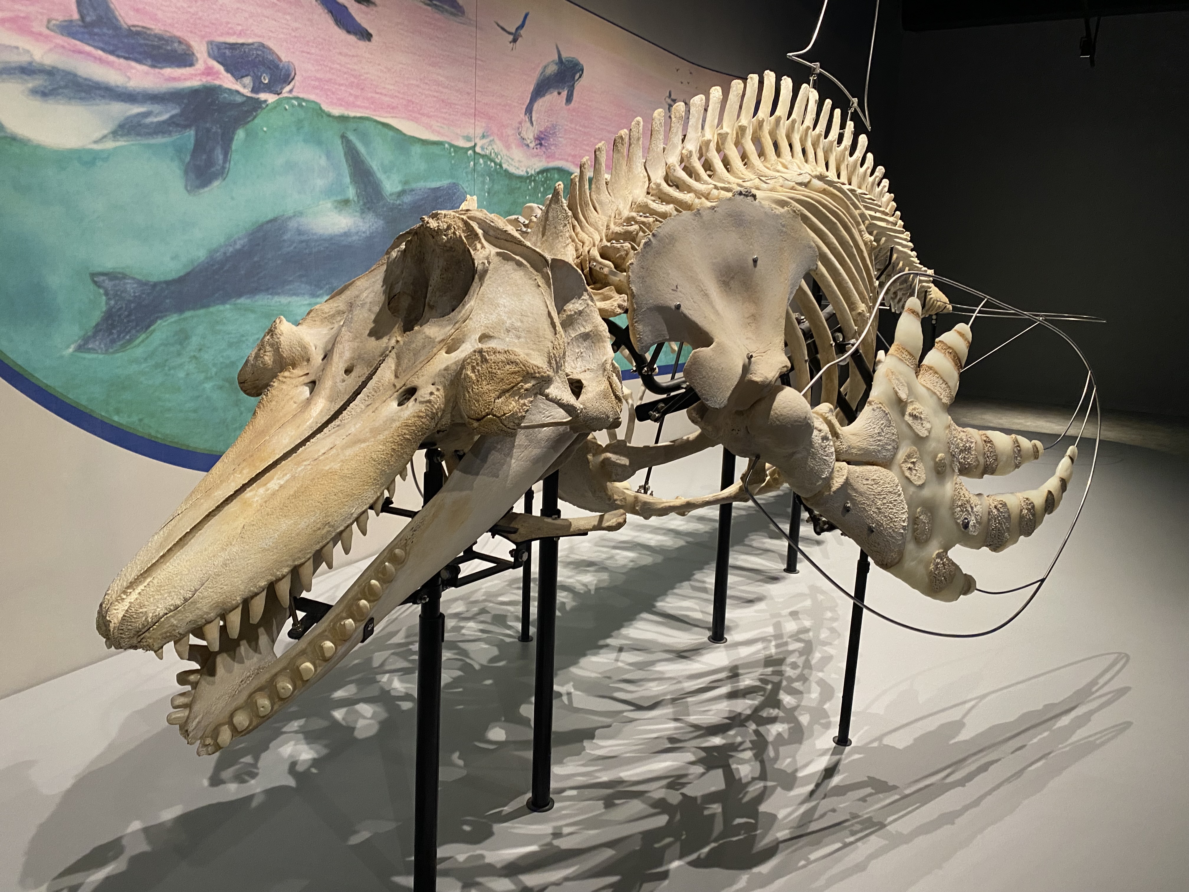 秋のドライブを快適にするセルフ高橋SSのおすすめ点検と洗車🚗✨