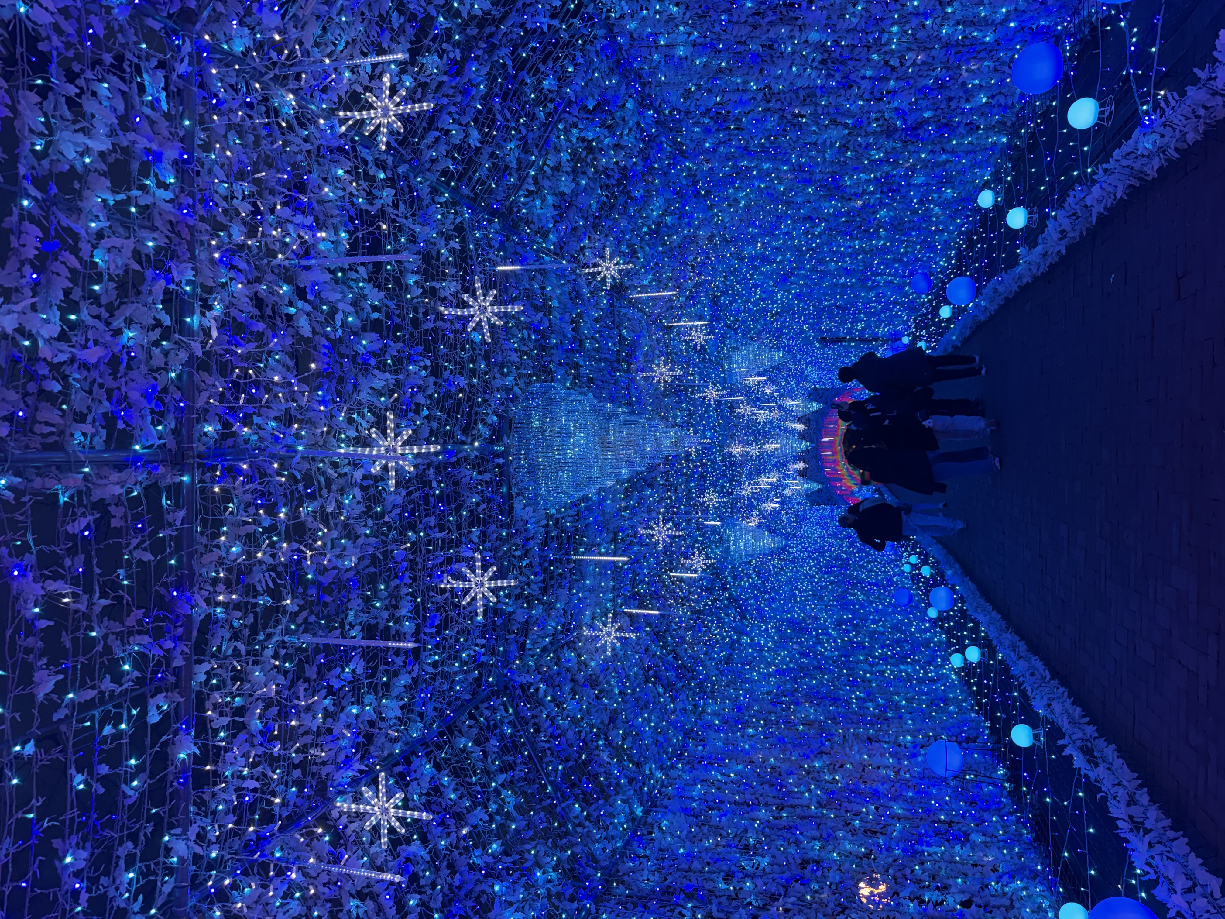 冬の洗車と愛車メンテナンスのポイントをセルフ高橋SSでチェック🚗