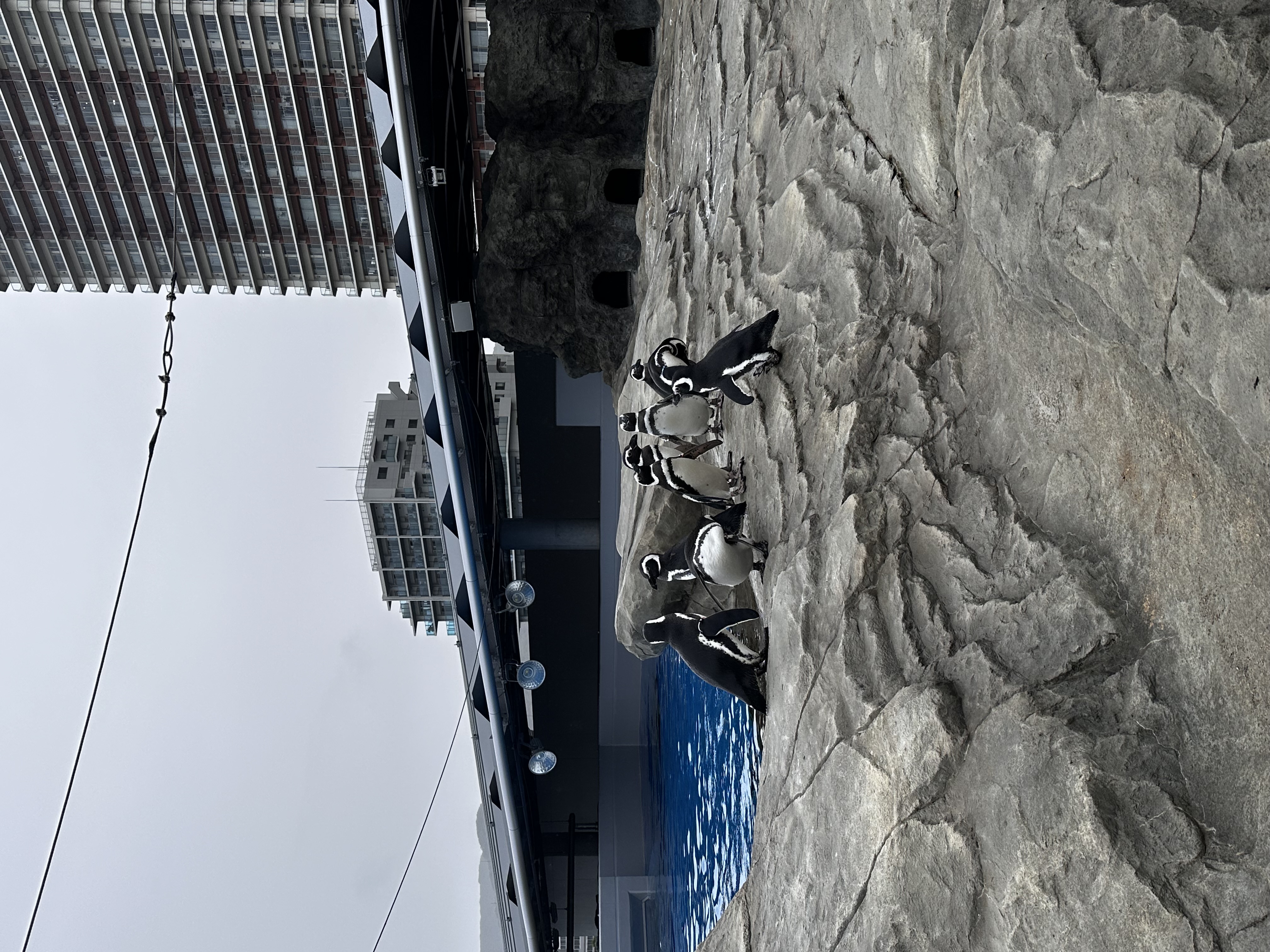 秋の洗車キャンペーンで愛車ピカピカにお得にドライブ🚗✨