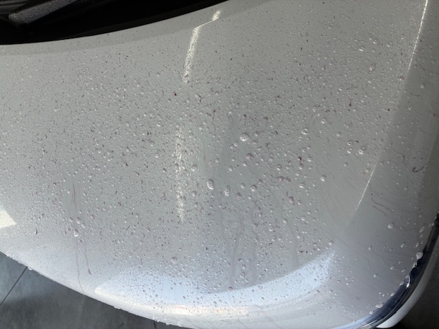 春の愛車メンテナンスに鉄粉除去とコーティングがおすすめ🚗✨