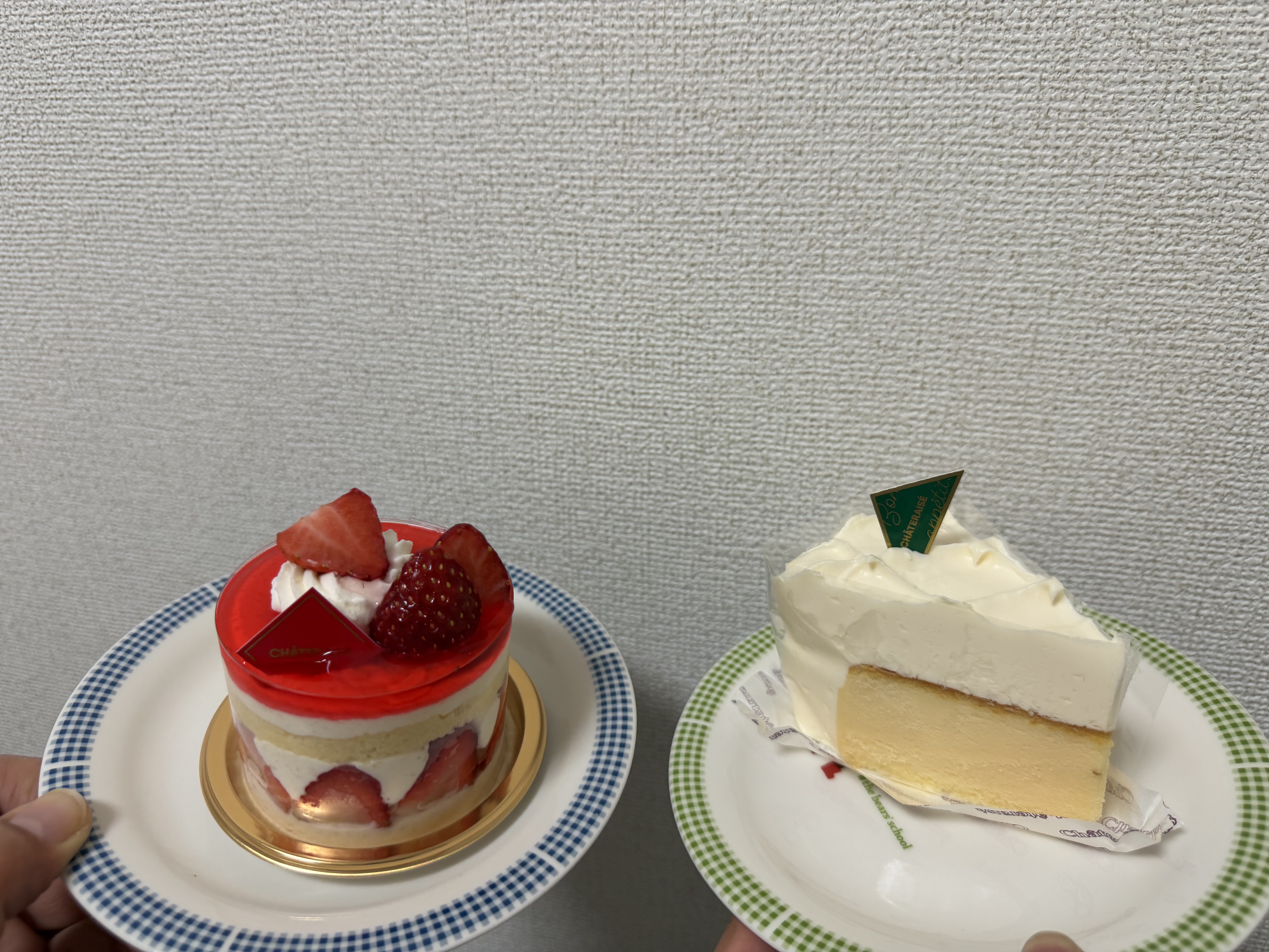 春の花粉対策におすすめ車コーティングと安心点検サービス🌸