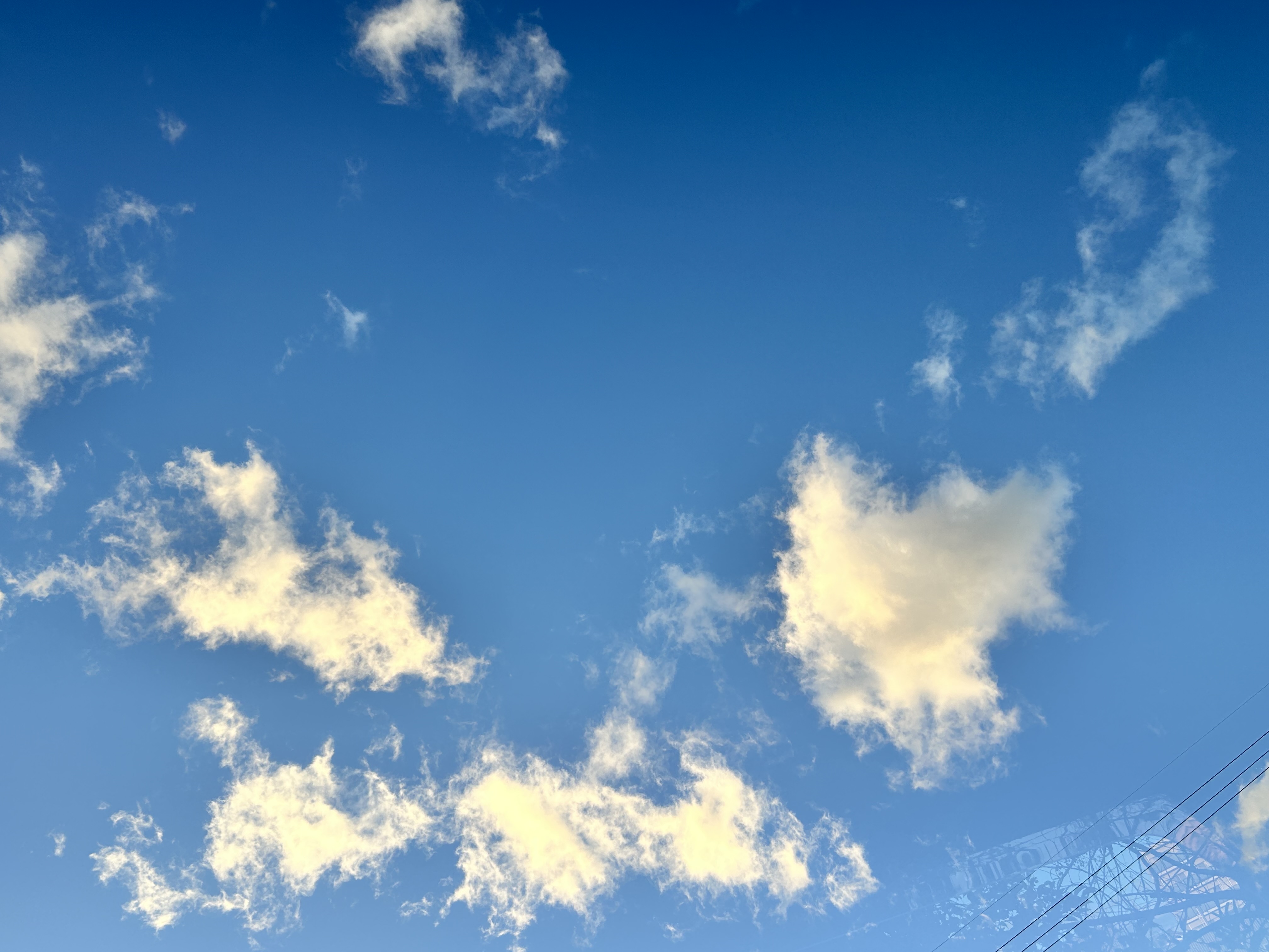 冬の青空に映える愛車の手洗い洗車とコーティングキャンペーン開催中🚗