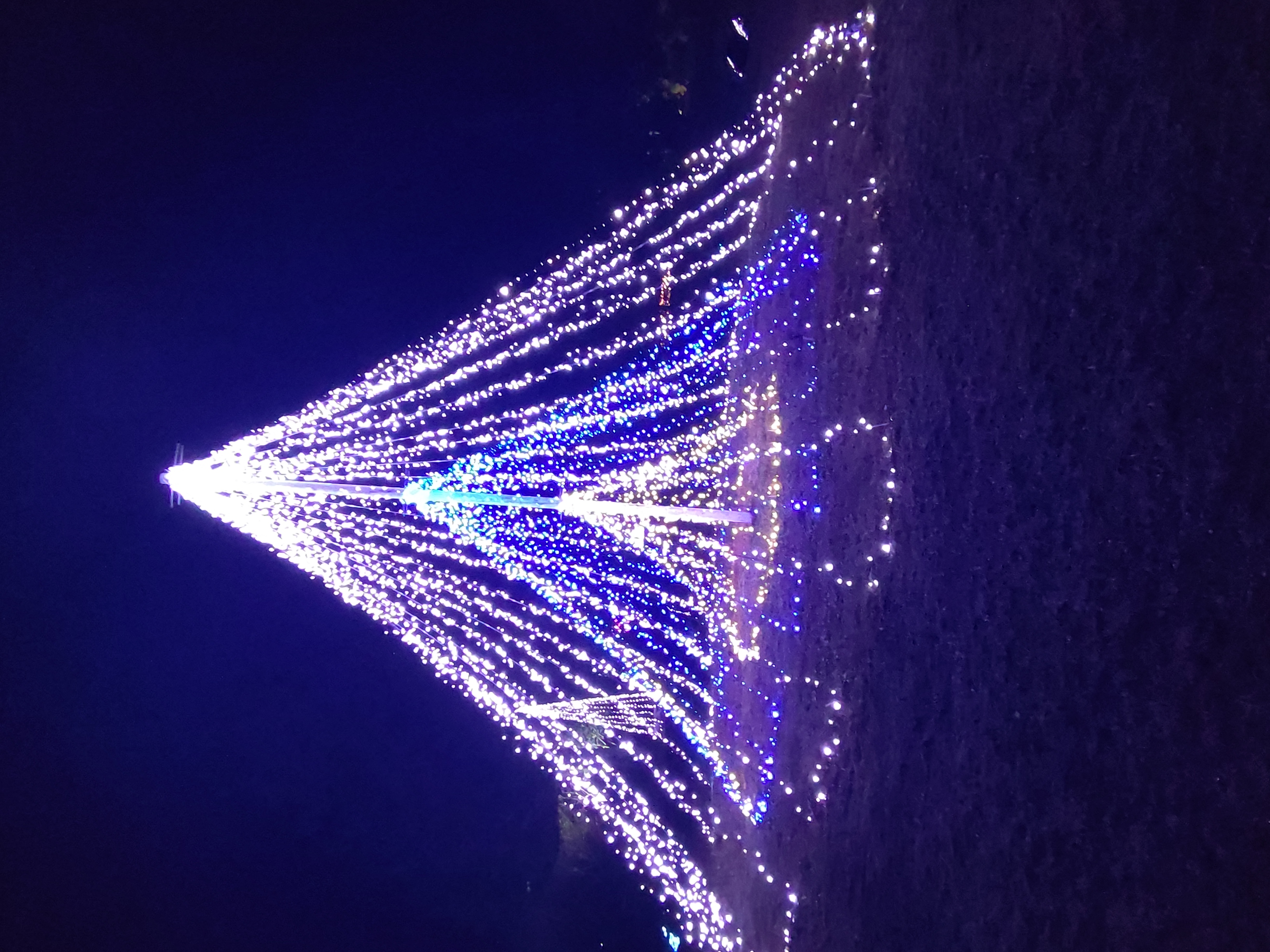 冬の車メンテナンスはコーティングでピカピカにしよう✨