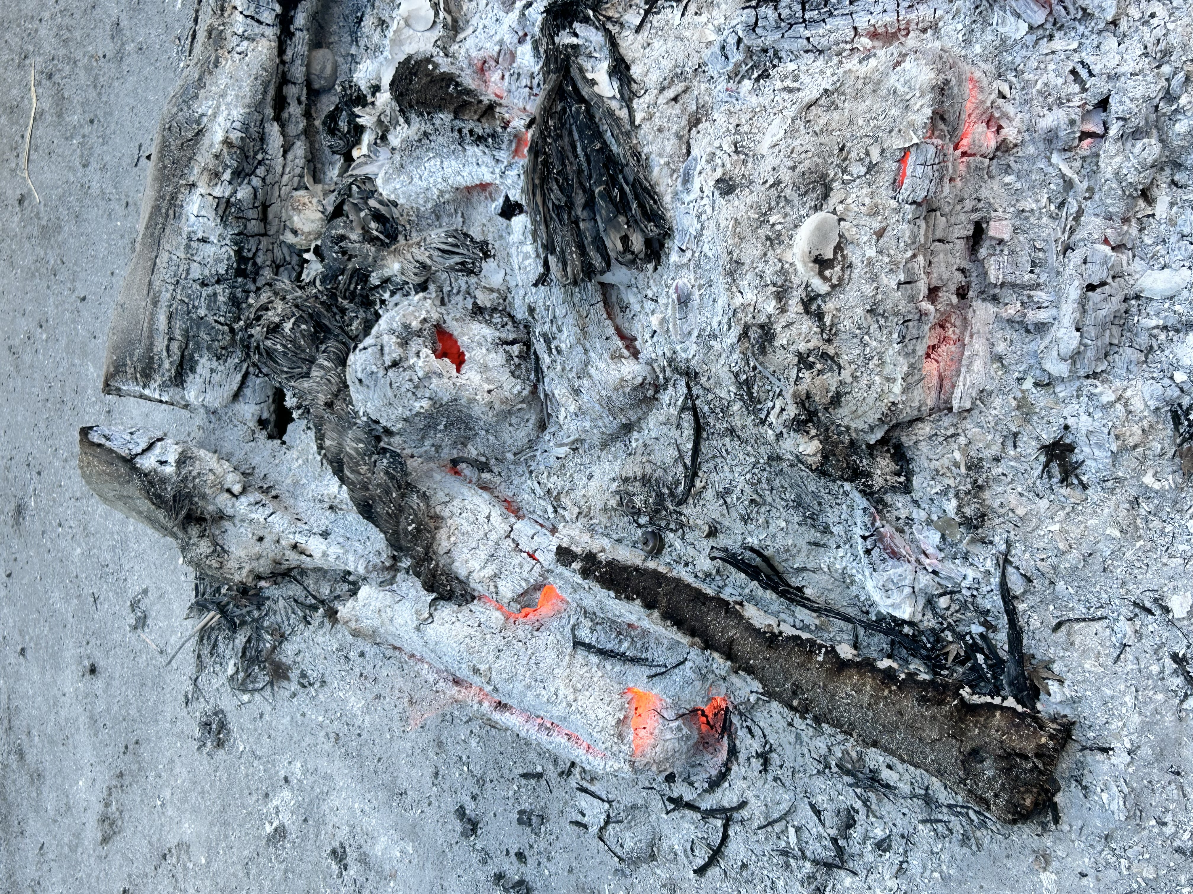 冬の給油と洗車で快適カーライフを応援します⛄セルフ高橋SS