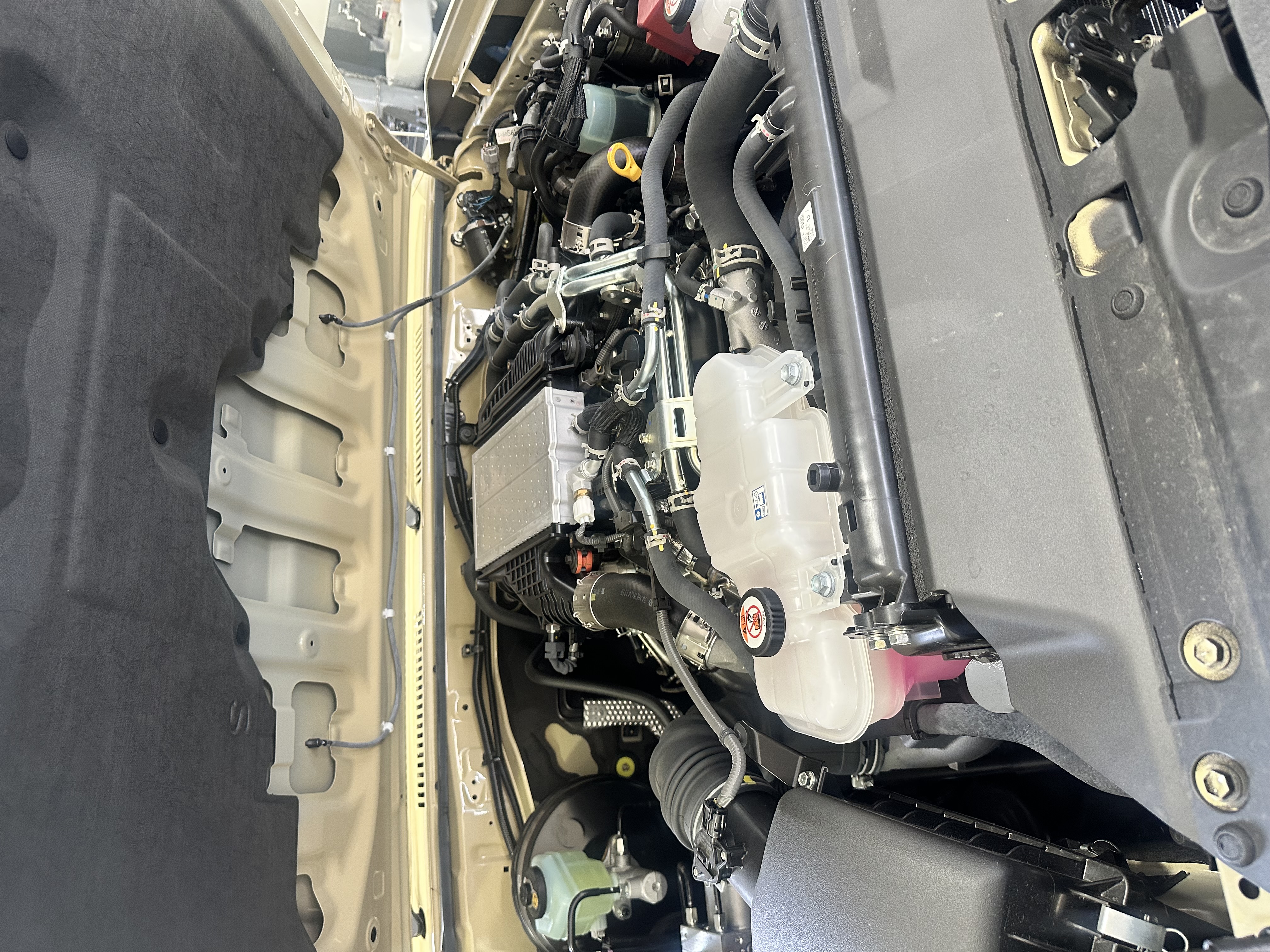 セルフ高橋SSで春のオイル交換半額キャンペーン実施中🚗