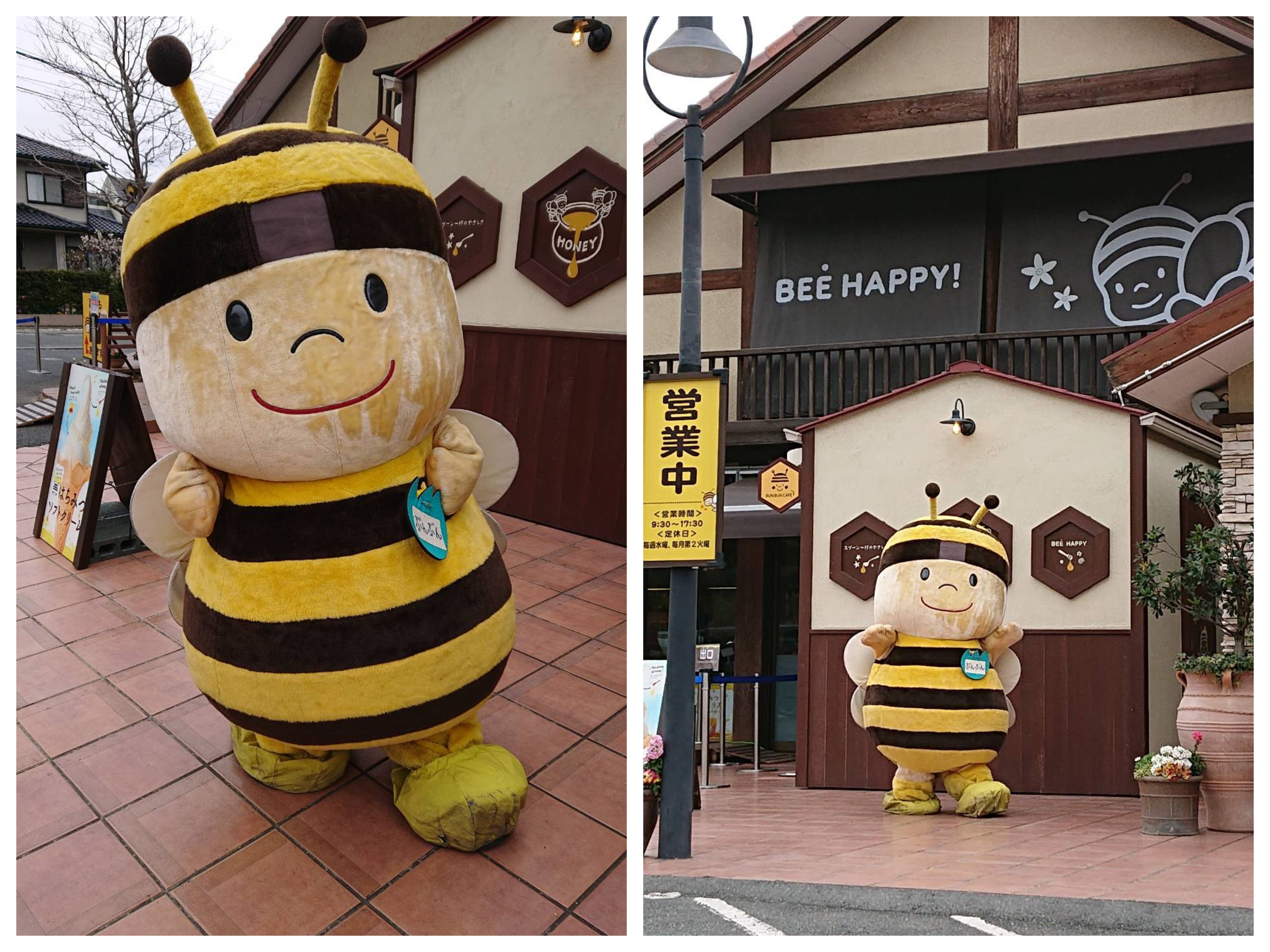 はちみつ🍯｜セルフ新居SS｜202603161232