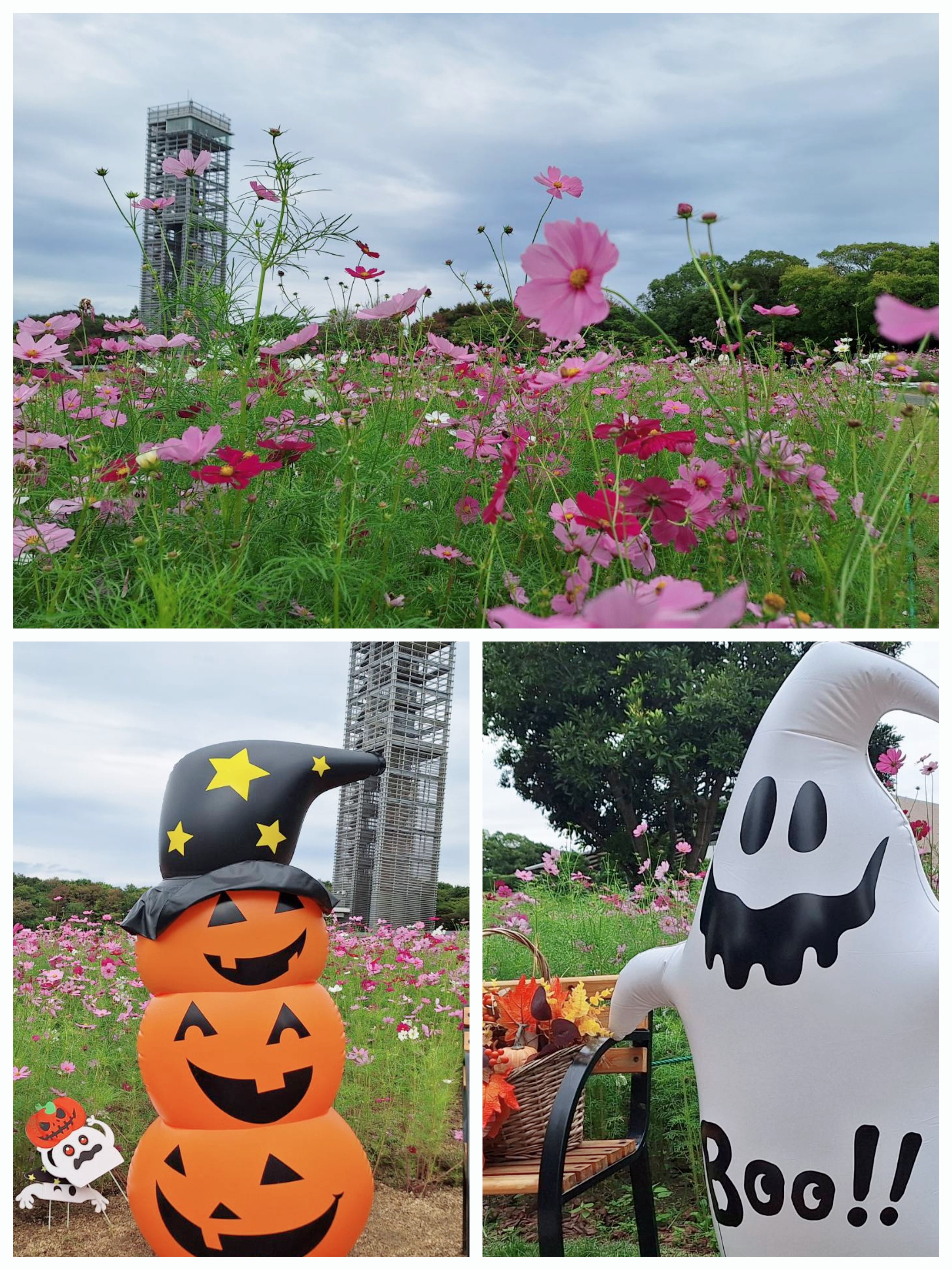 ガーデンパーク🌸