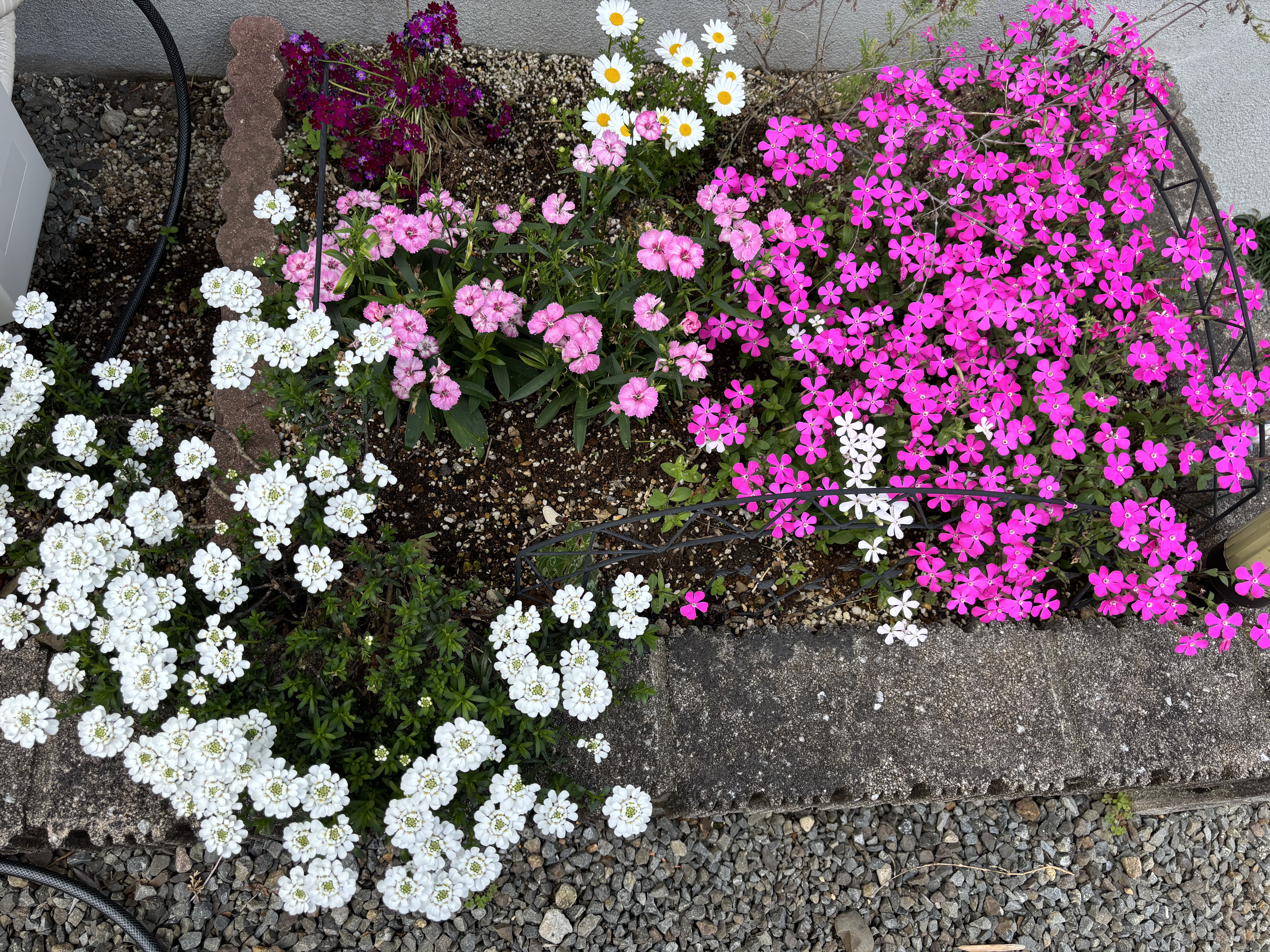 春の洗車祭り開催中！タイヤ交換やお得なコーティングも🛞✨