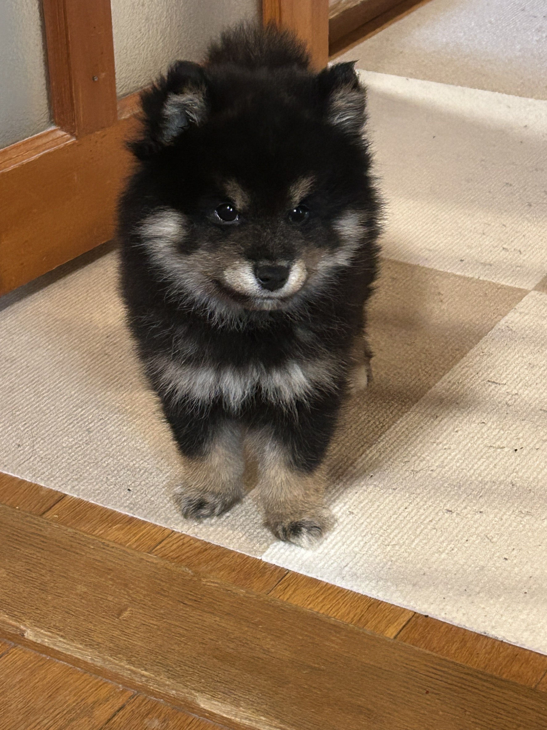 春の快適ドライブ応援！エアコン点検と車コーティングのすすめ🚗