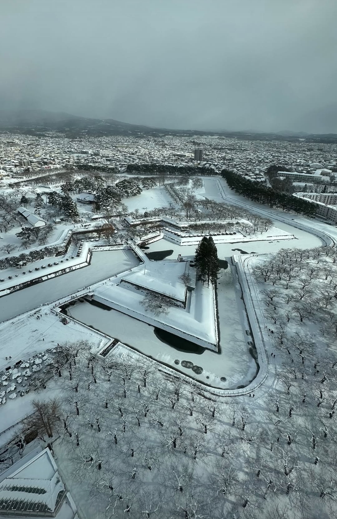 冬の車メンテナンスはお任せください🚗静岡インターSSのおすすめ対策