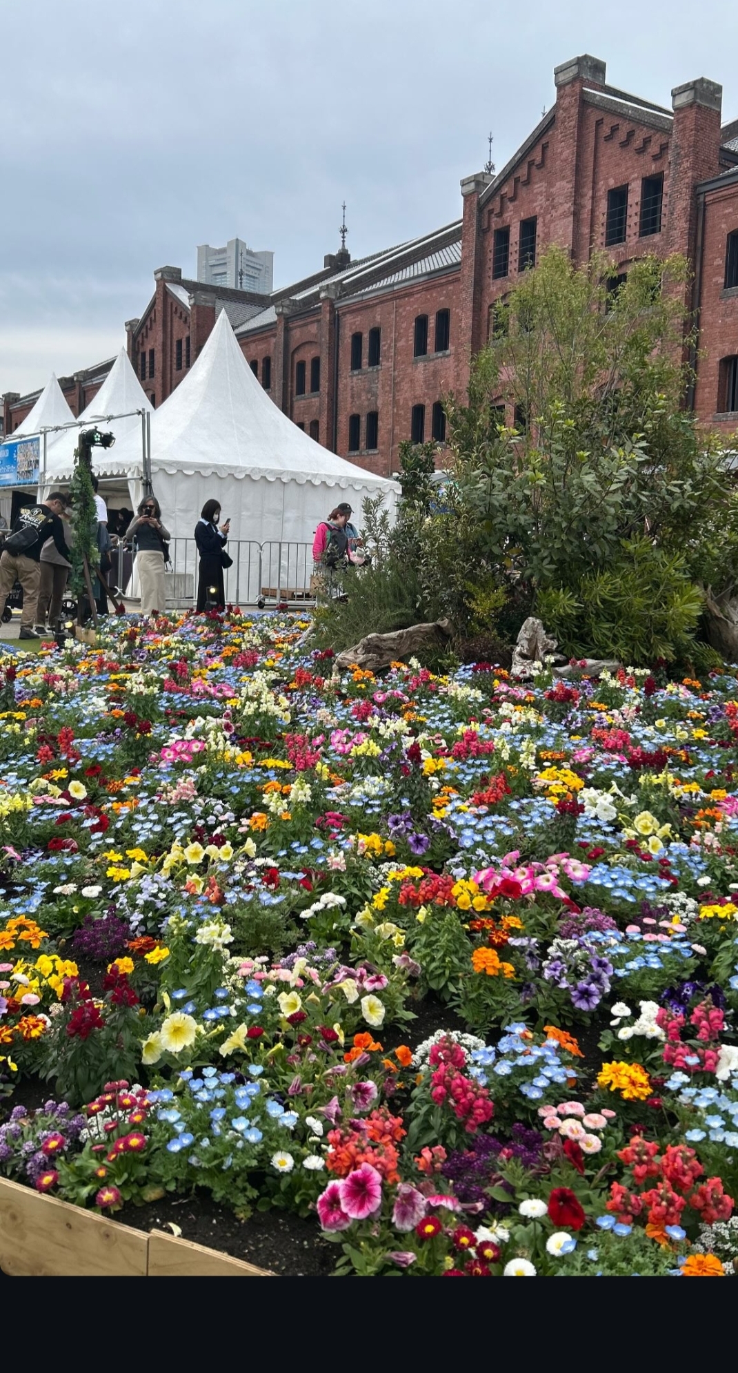 春のドライブ前にチェックしたい車の点検と洗車ポイント🌸