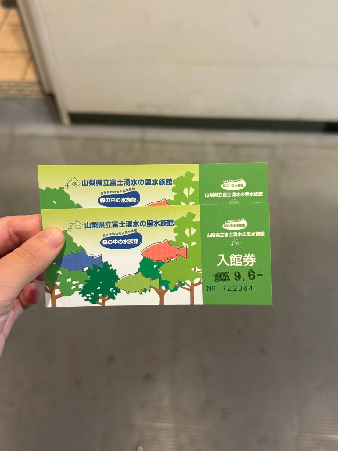 水族館🐟