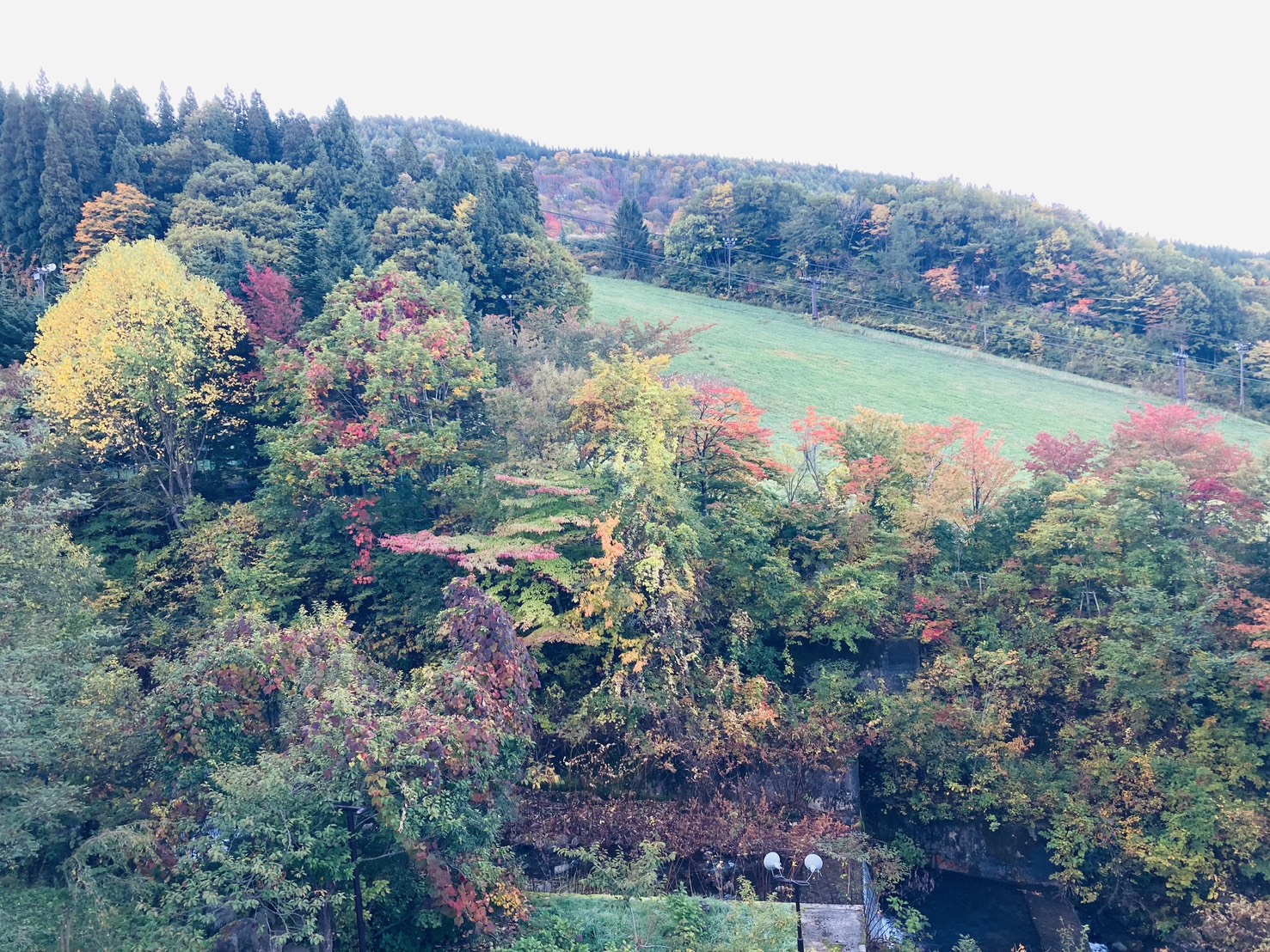 静岡インターで冬前の車メンテ＆11月洗車1000円キャンペーン🚗