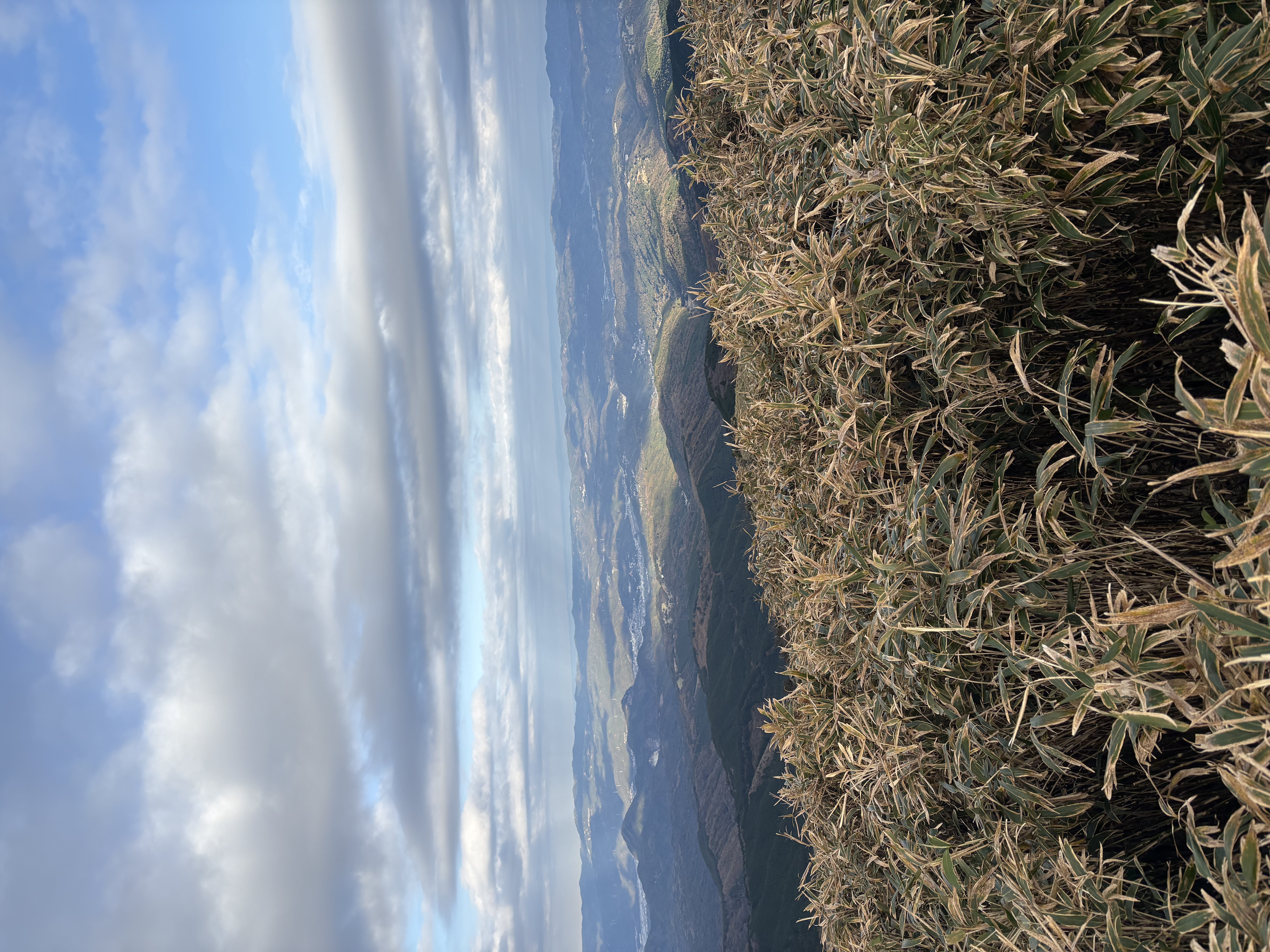 秋のドライブを快適に楽しむための車メンテナンスポイント🚗