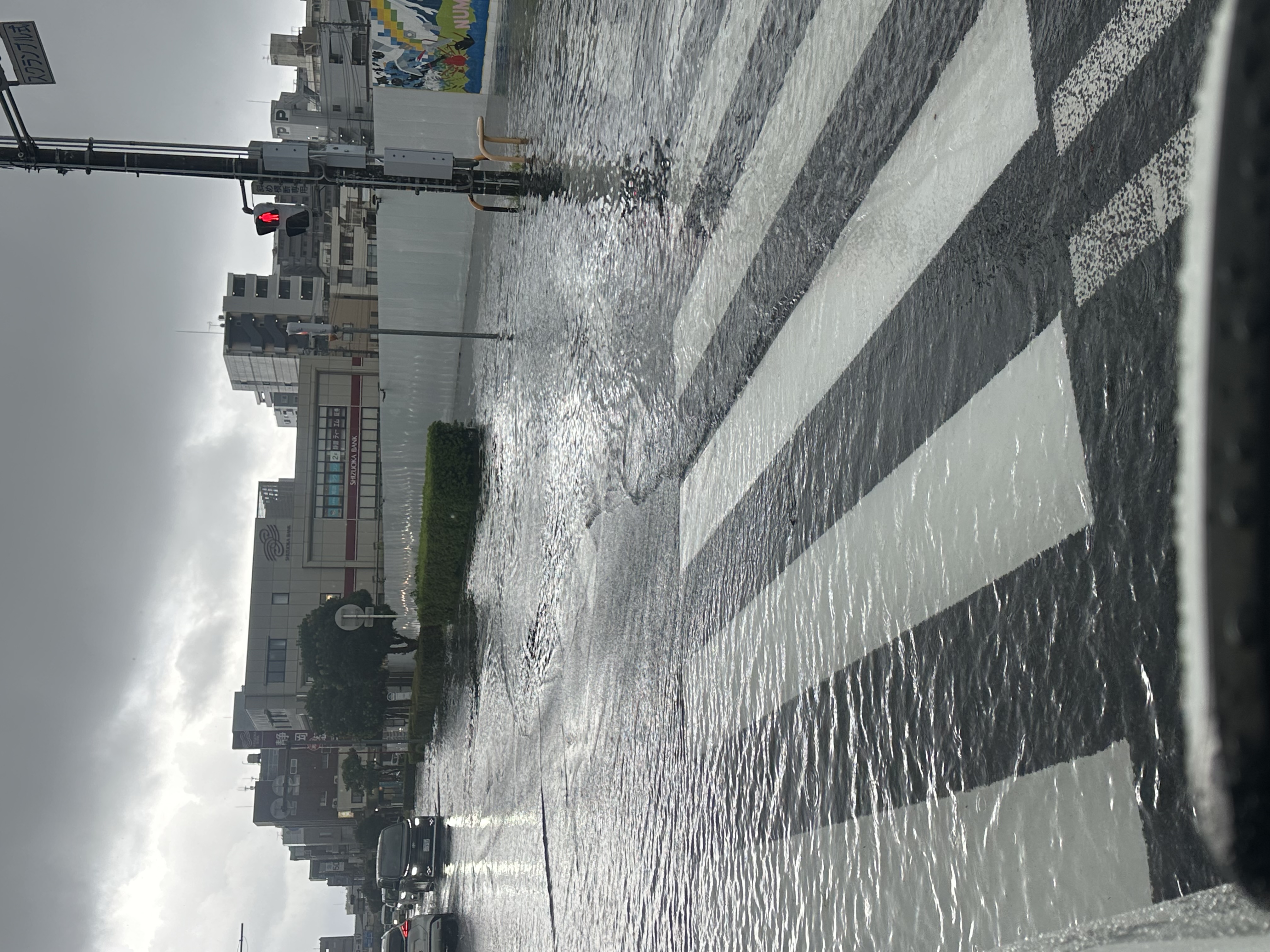 ☂️冠水☂️