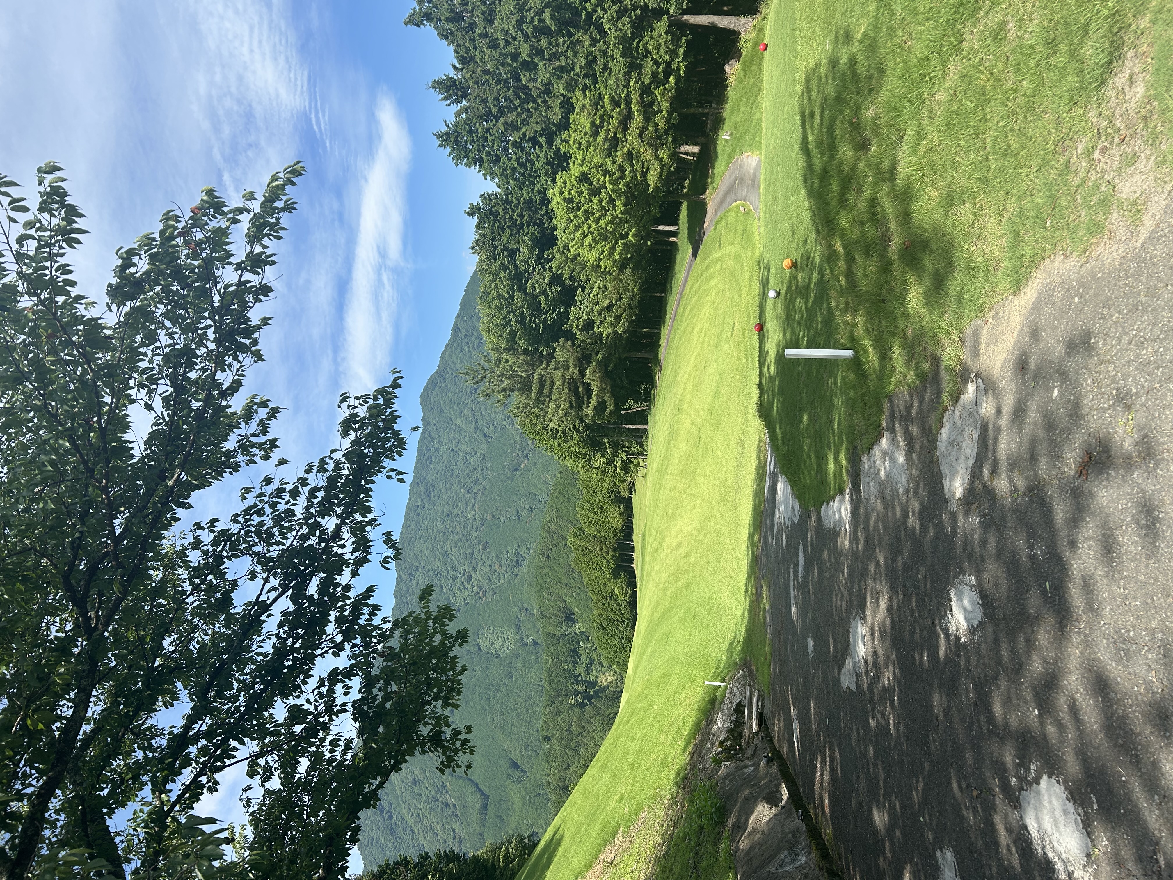 ゴルフ⛳️
