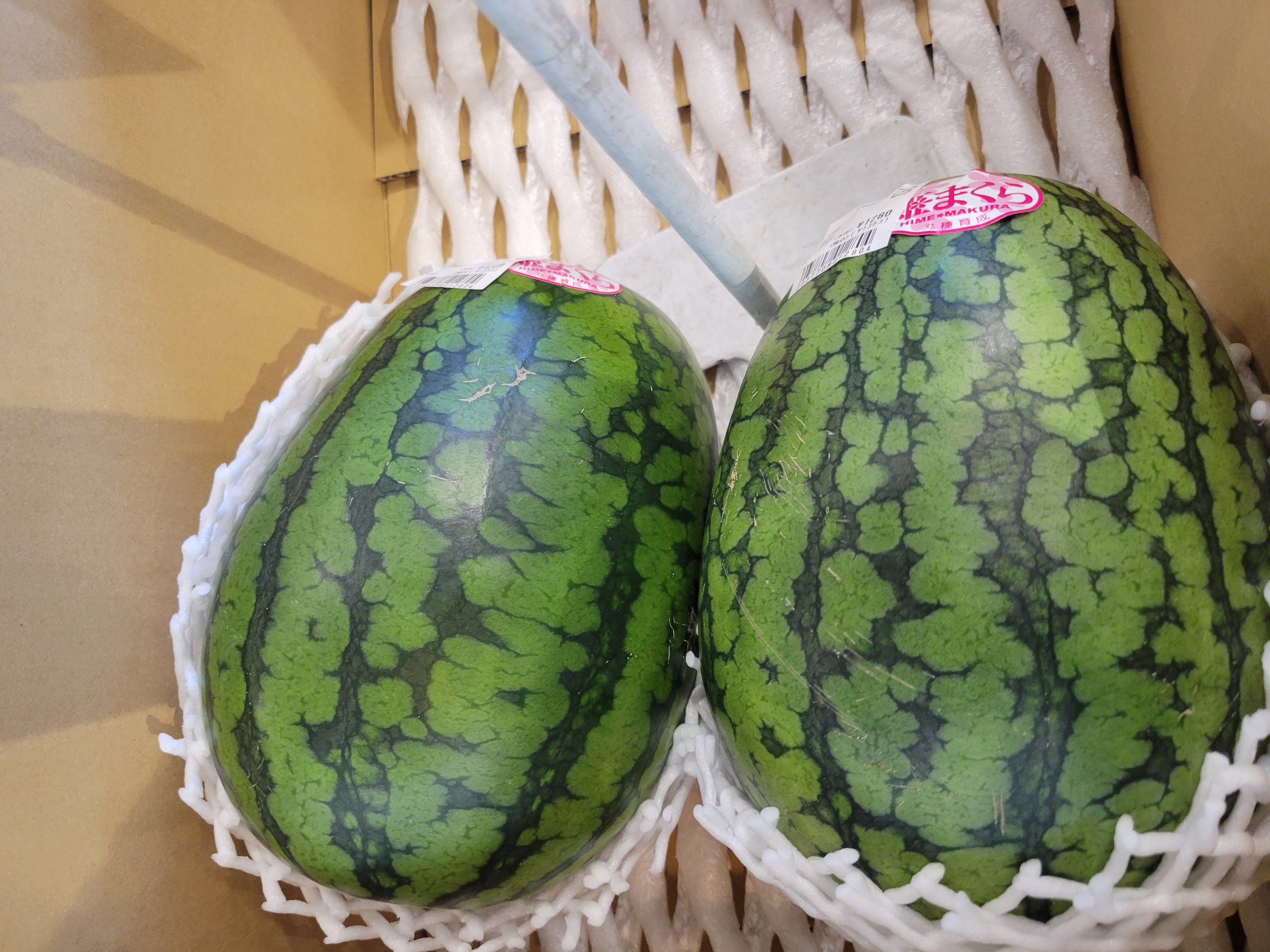 もう夏？