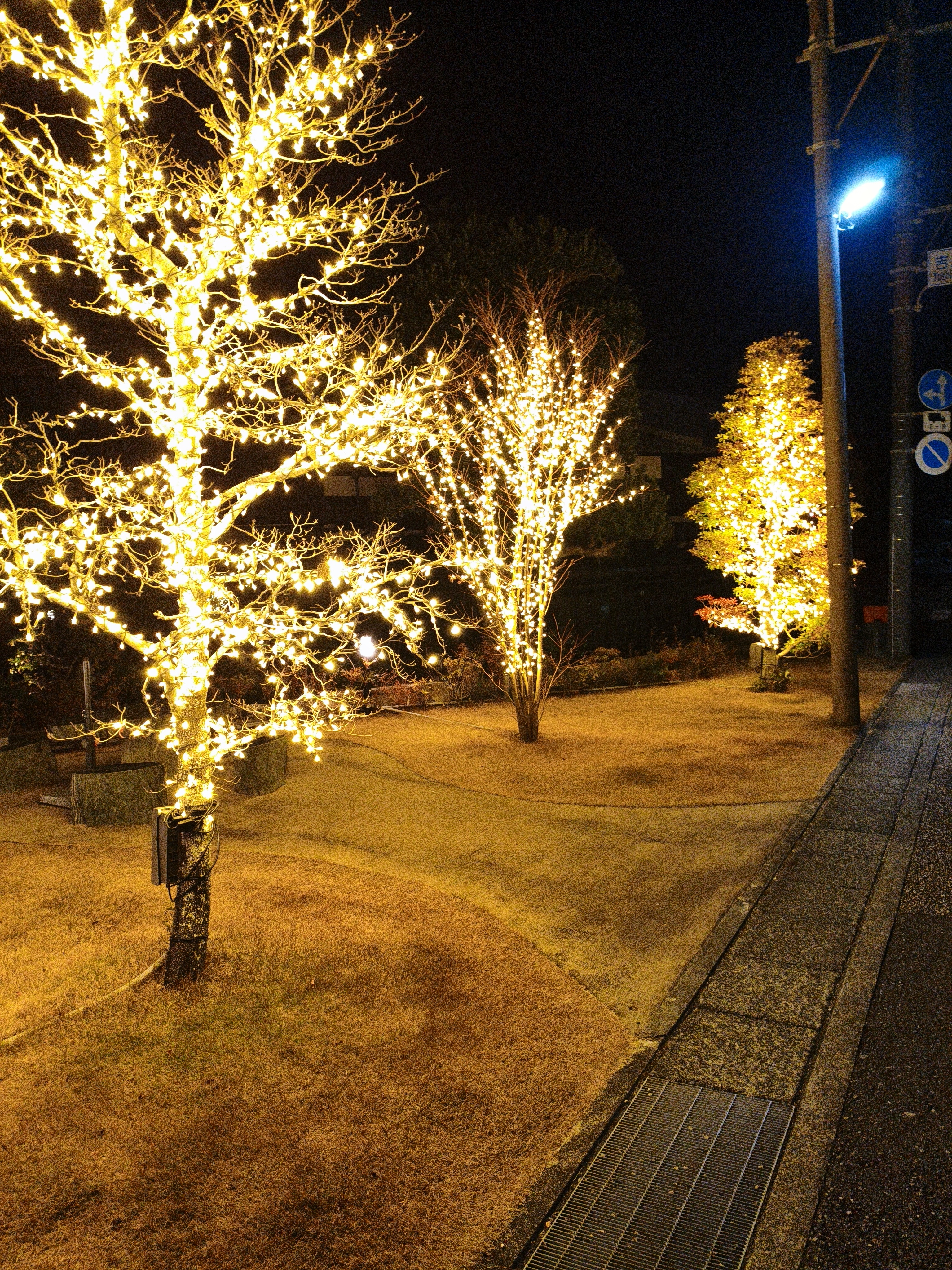 冬の安全運転に必須 冬用タイヤと点検ポイントを解説🚗