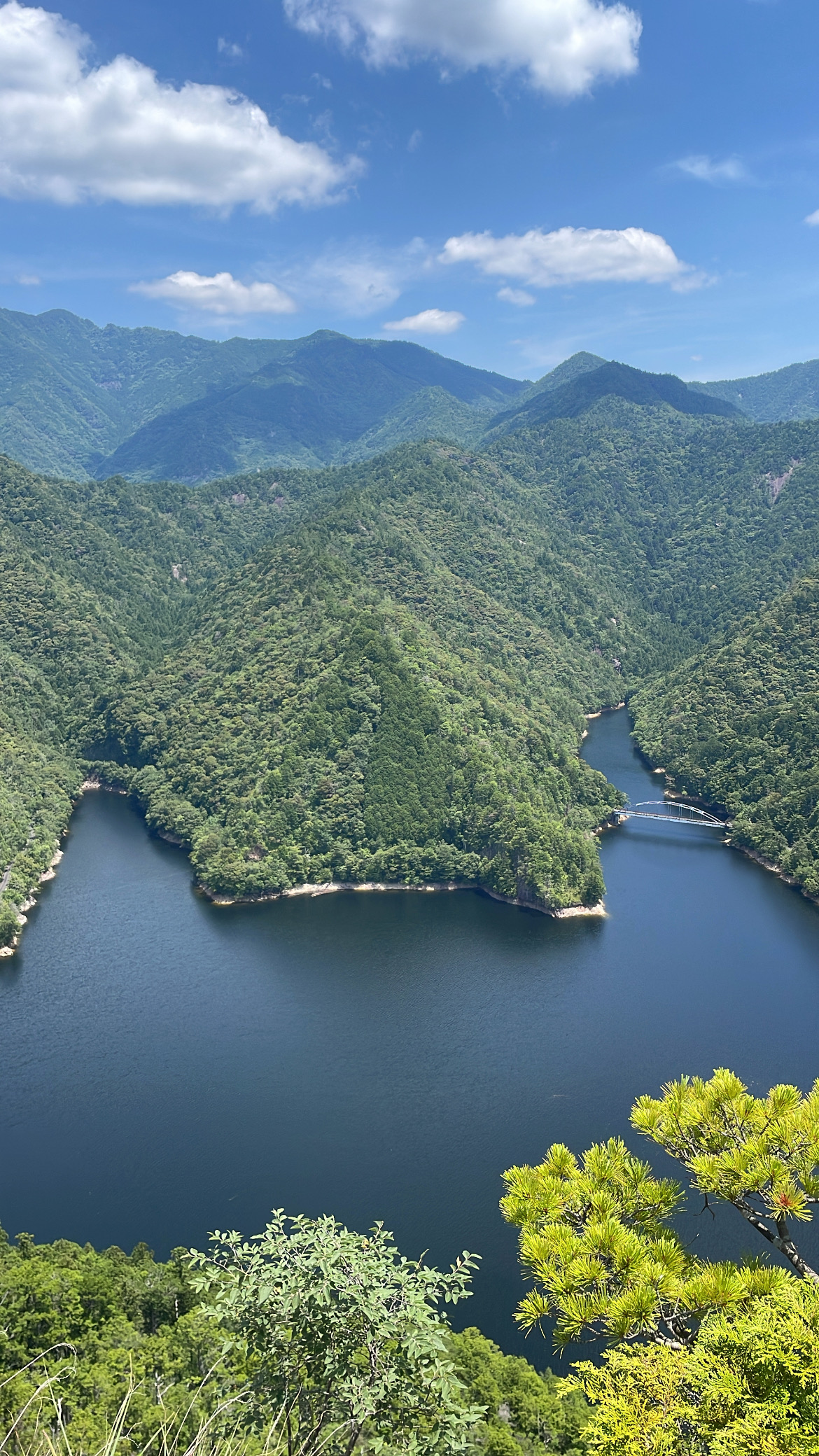 ガソリン割引＆1000円洗車で秋のカーケアをお得に楽しもう⛽️
