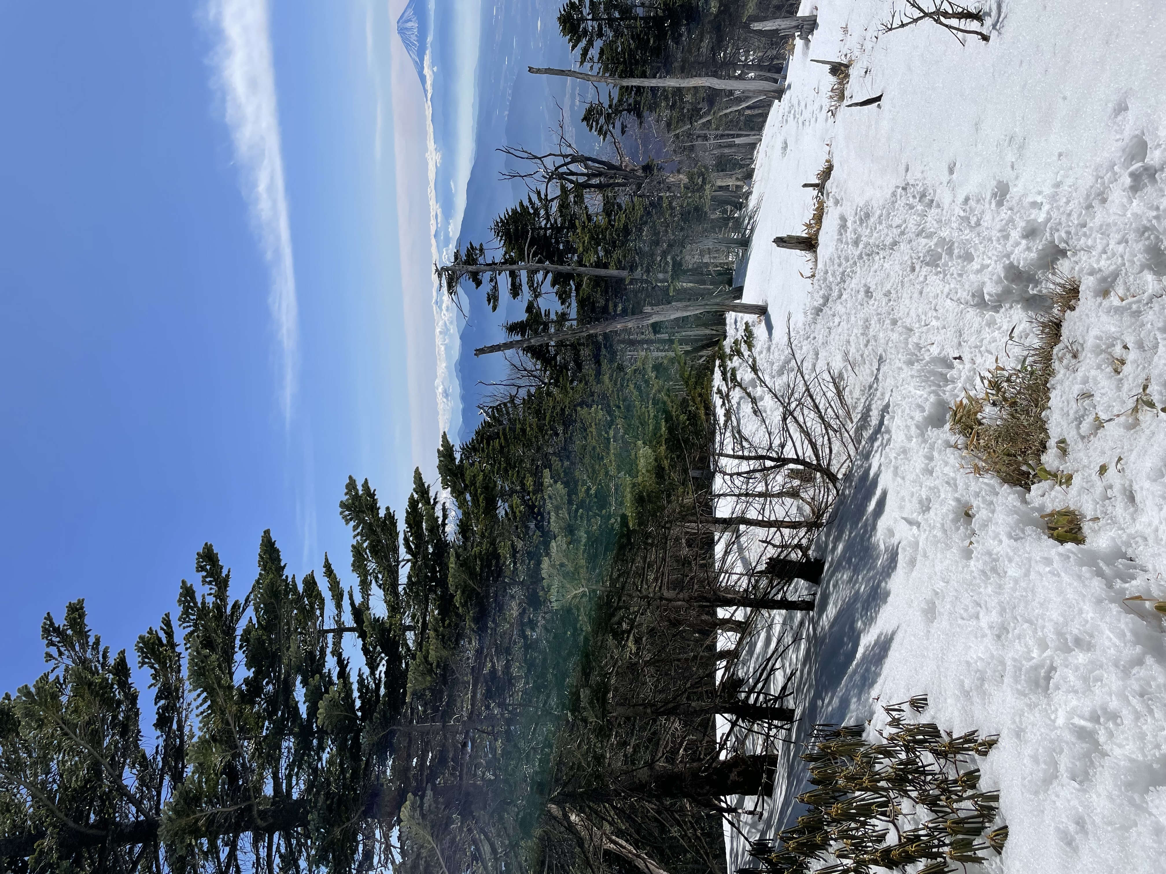 雨や黄砂の汚れ対策におすすめ手洗い洗車キャンペーン情報🚗✨