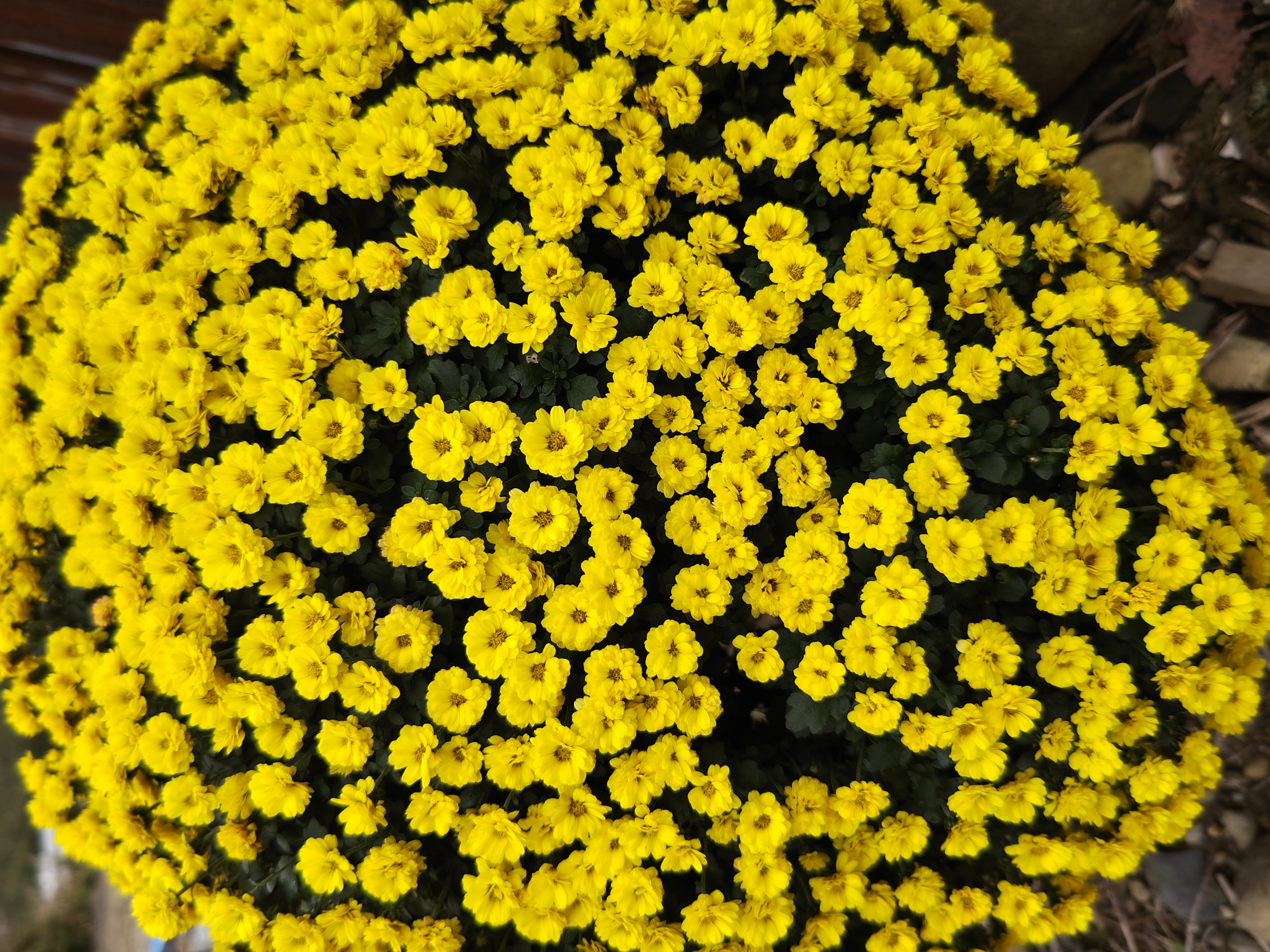 秋の手洗い洗車1000円キャンペーンと半額オイル交換情報🚗✨