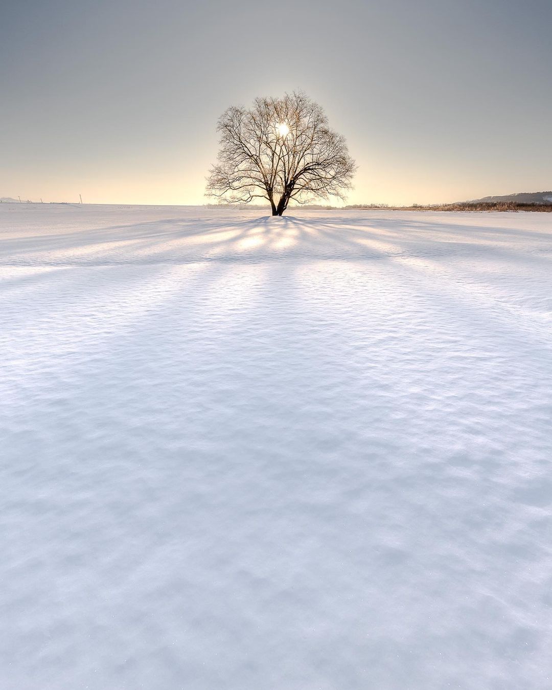 秋の手洗い洗車1000円＆オイル半額キャンペーンで快適ドライブ🚗