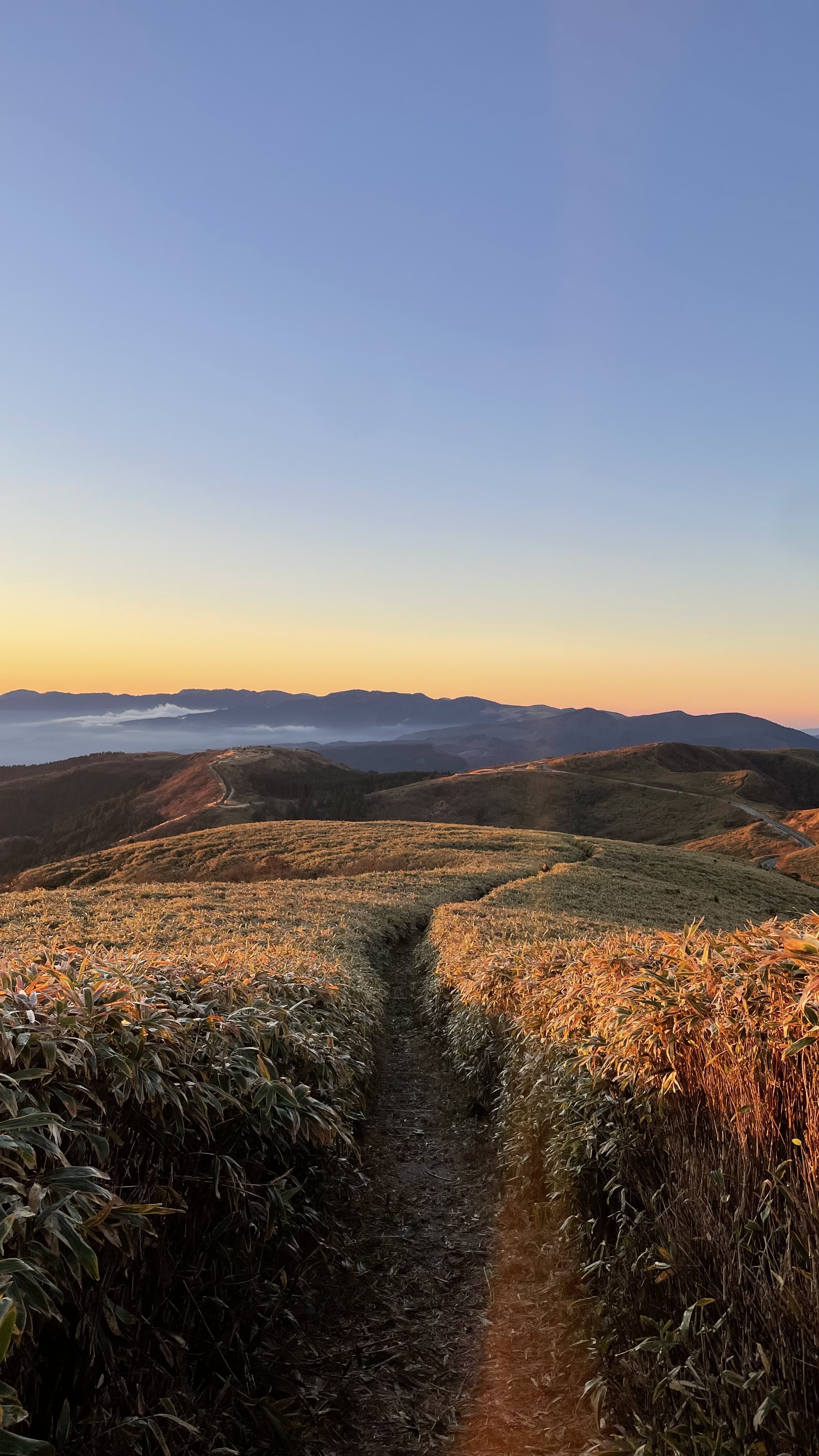秋の紅葉ドライブ前におすすめ洗車と安心点検キャンペーン🚗✨