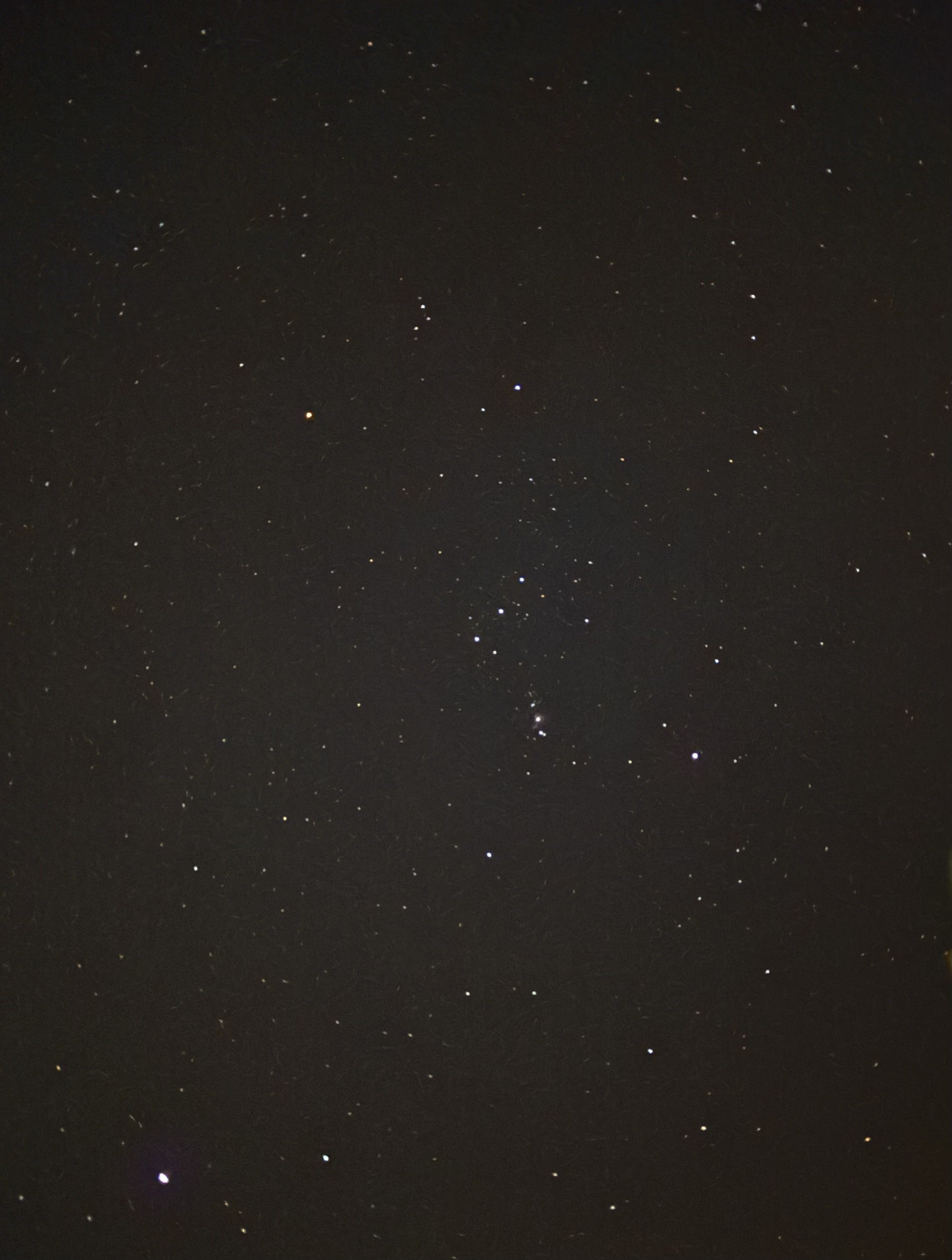 冬の安心ドライブ応援 タイヤキャンペーンと点検のポイント🚗