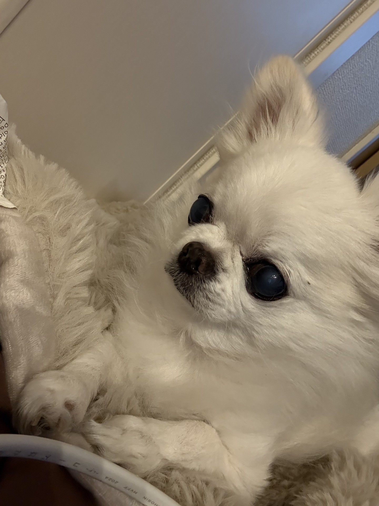 冬の安心ドライブ応援 タイヤ点検と冬支度のポイント🚗