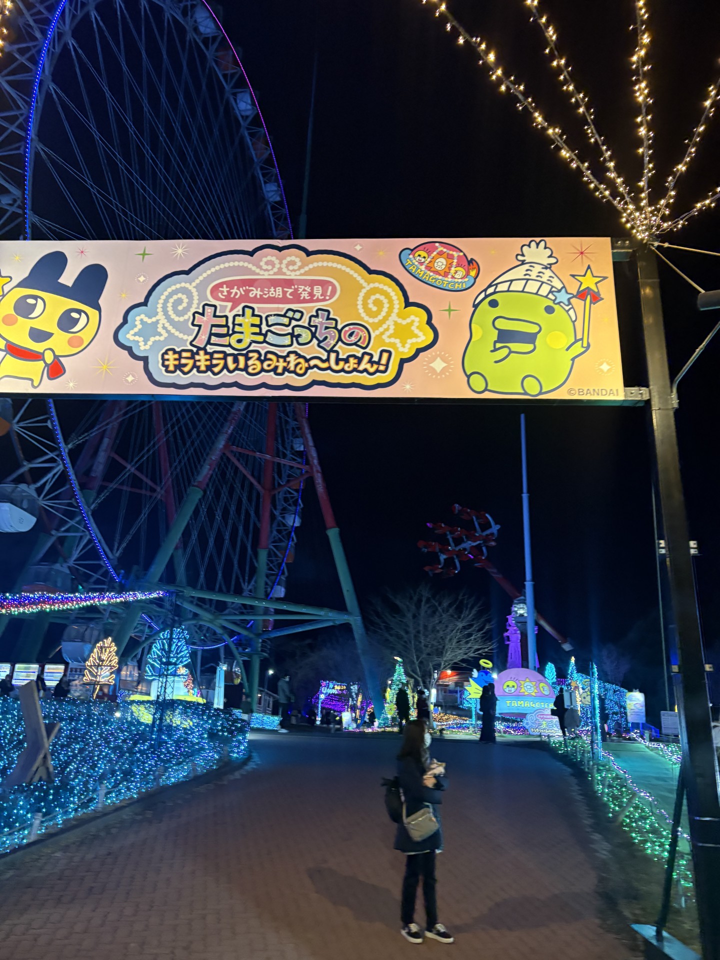 春の車コーティングと洗車で快適ドライブを楽しもう🚗✨