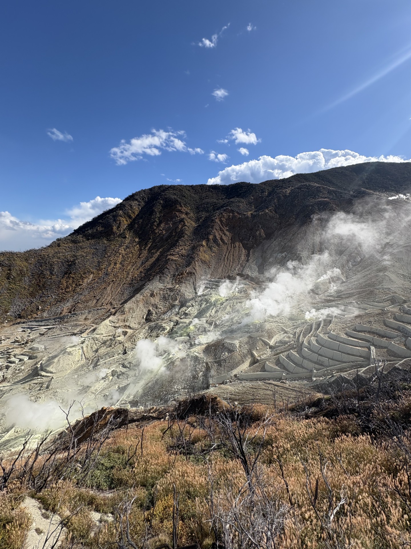 セルフ藤枝大手SSの秋メンテナンスとお得な手洗い洗車情報🚗