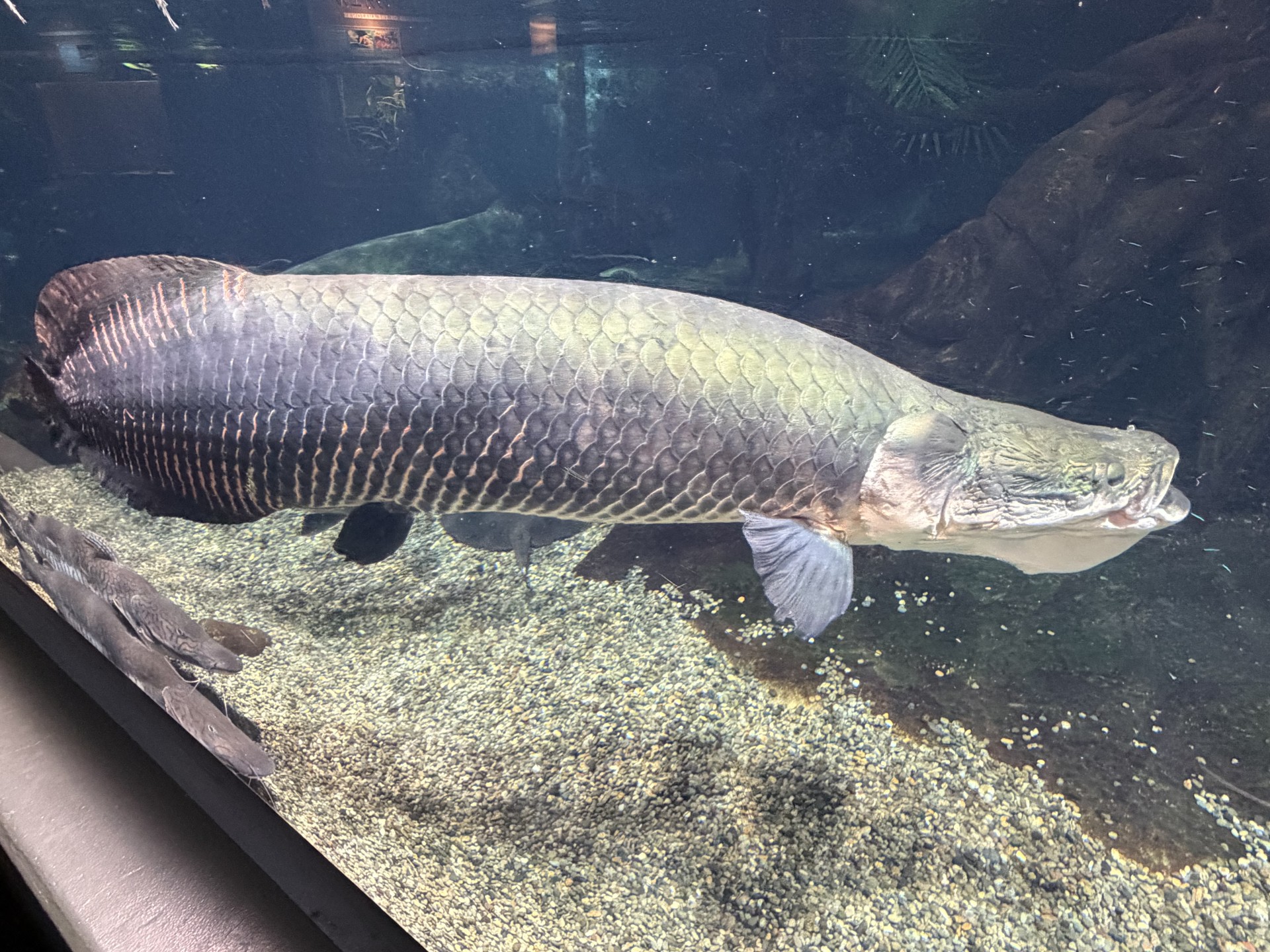 冬の車下廻り点検でサビ対策と安全運転をしっかりサポート🚗