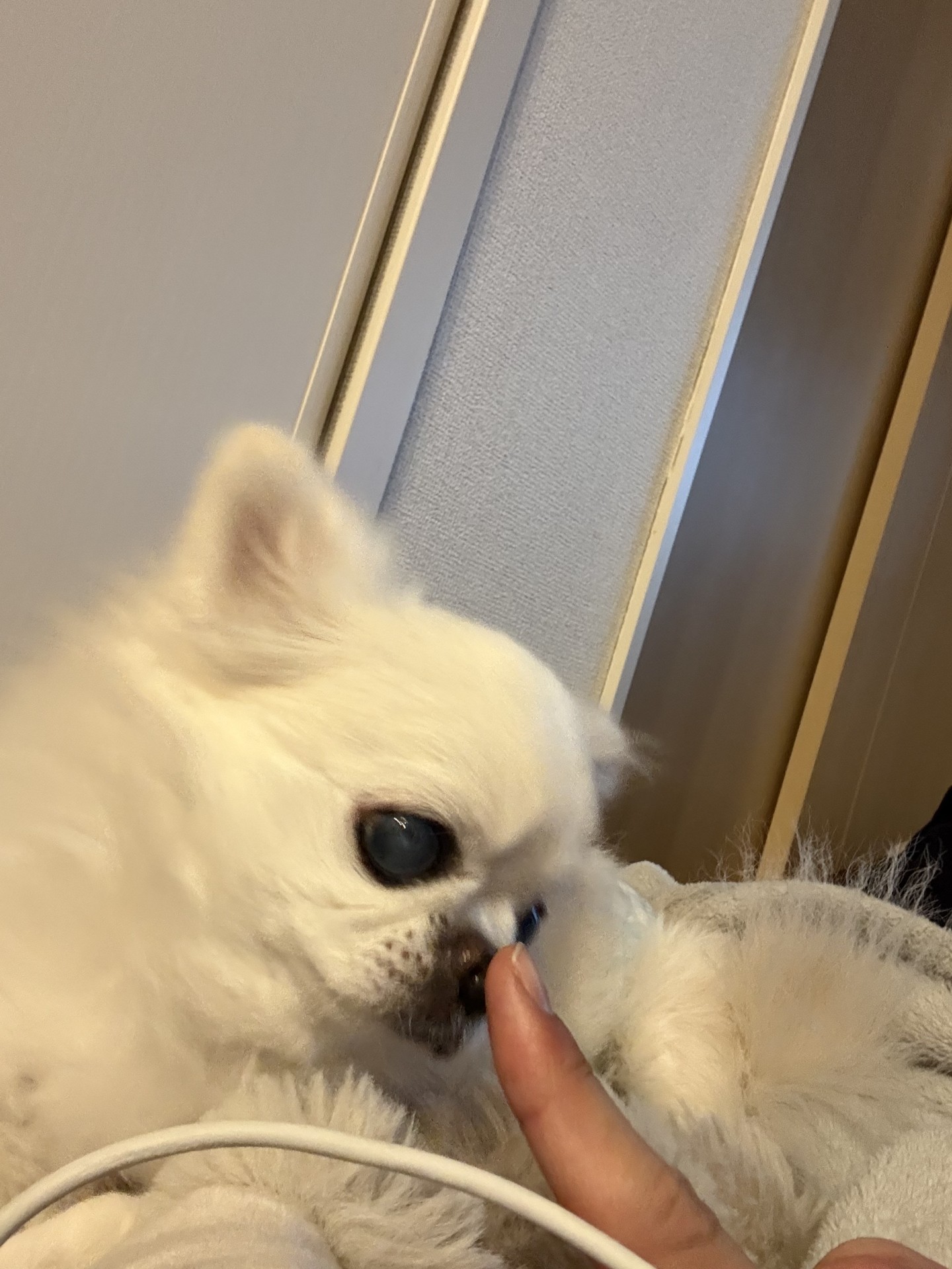 年末の洗車混雑と冬の車メンテナンスポイントをチェック🚗