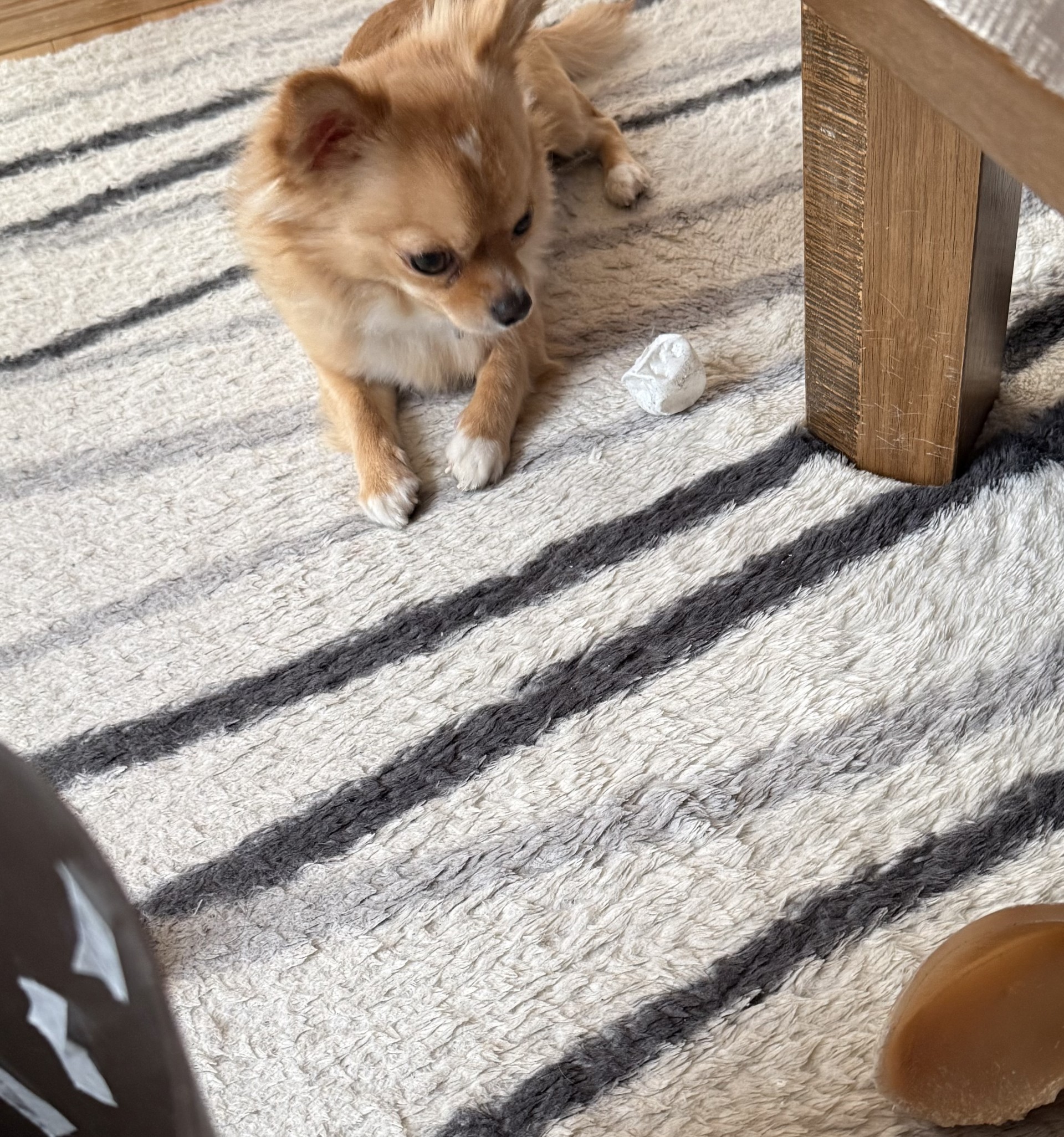 冬のタイヤ交換とお得キャンペーン情報 セルフ藤枝大手SSから🚗✨