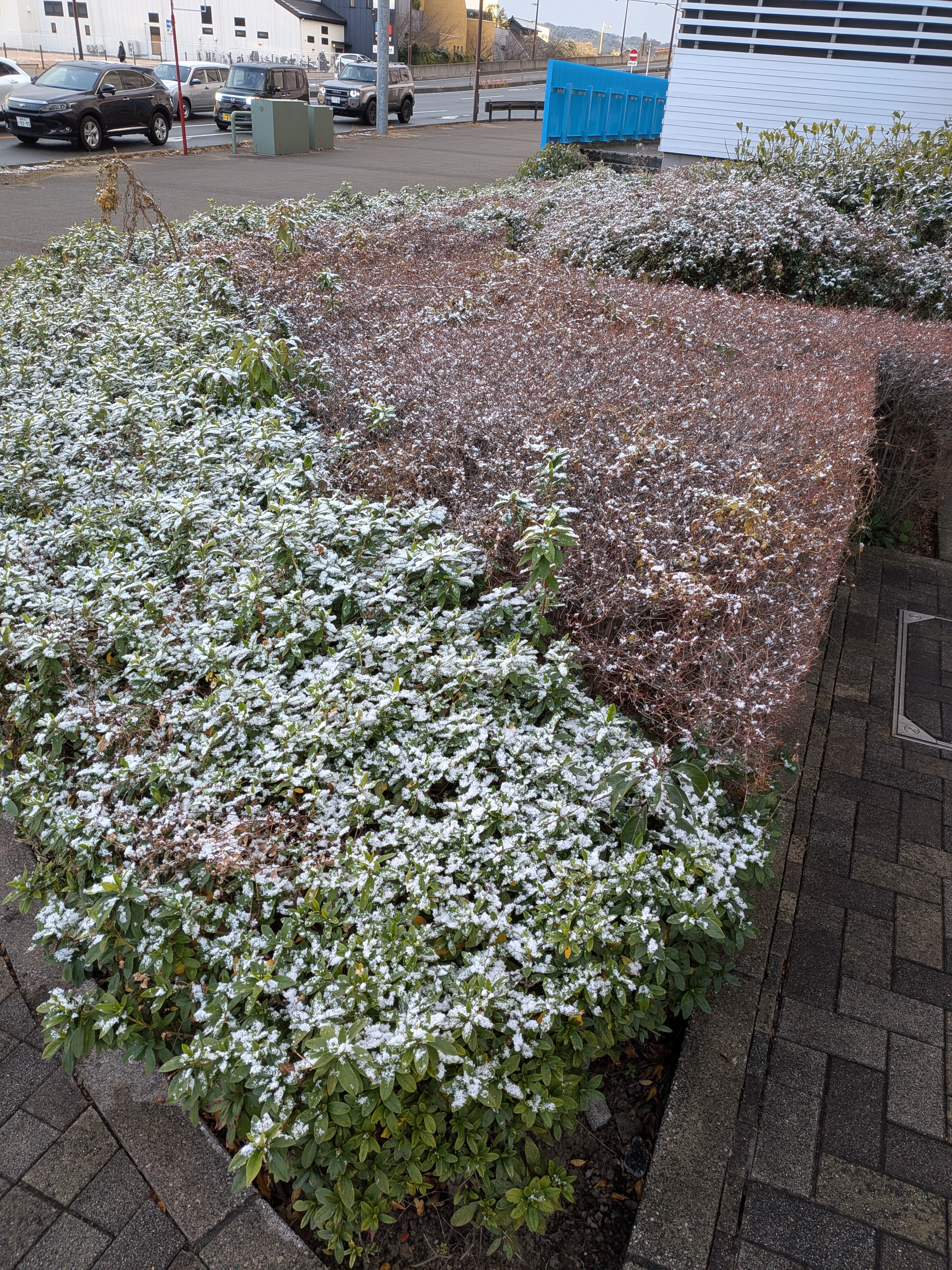 冬の愛車メンテはセルフ藤枝大手SSで快適ケア❄️