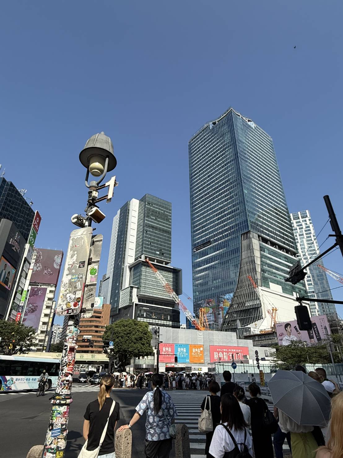 トーキョー🗼