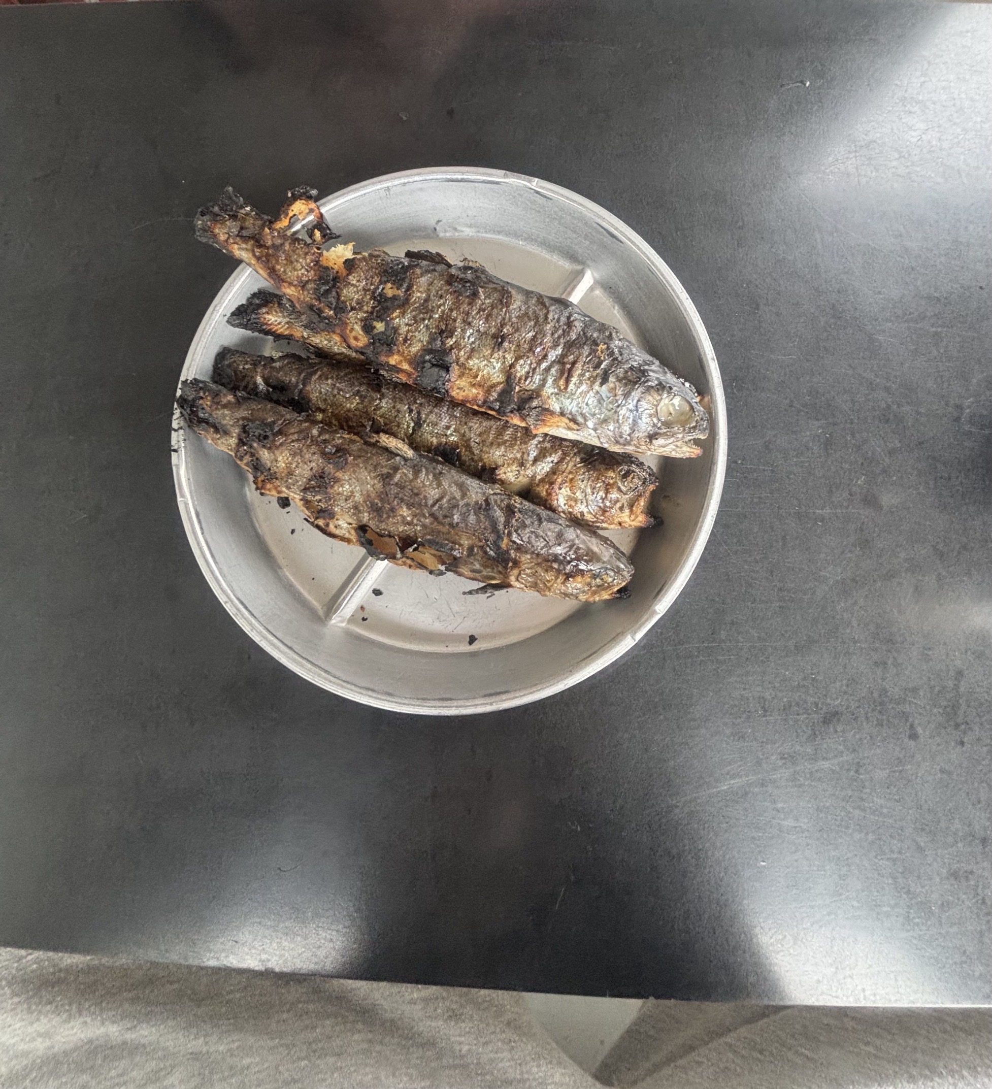 マス釣り