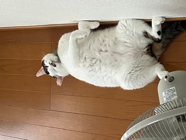 涼しくなりましたね！