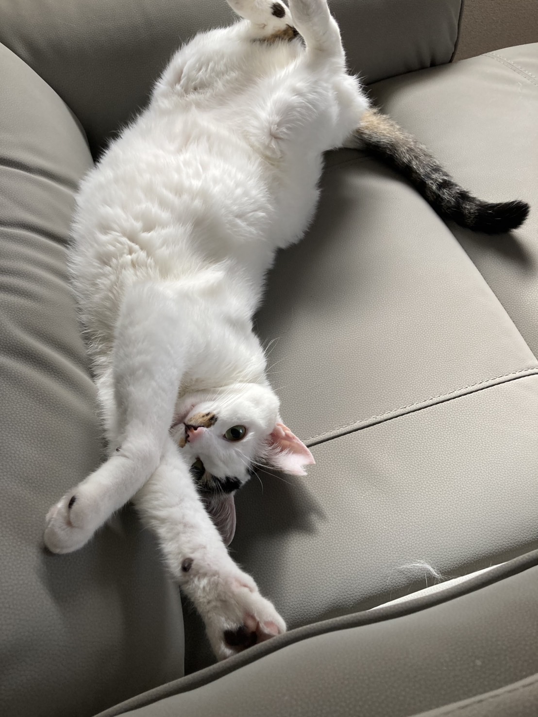 洗車機２４時間稼働中！