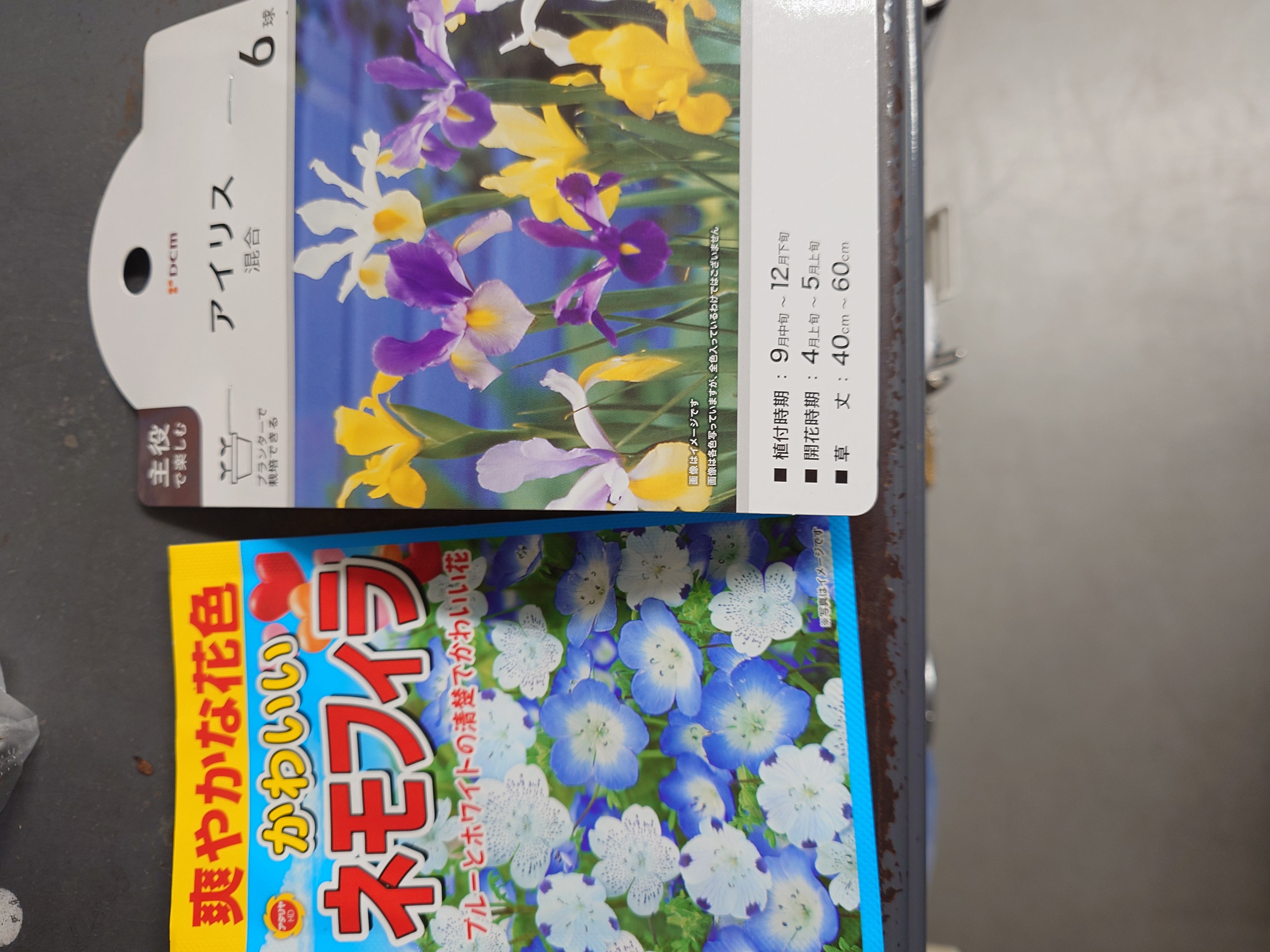 春の花の準備