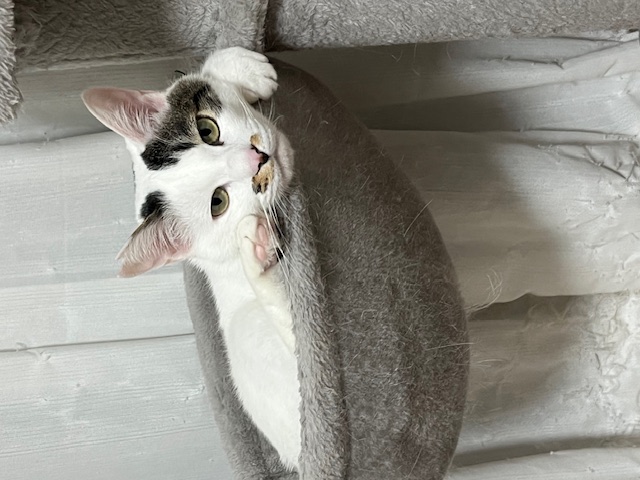 空気圧点検実施中！