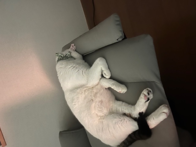 涼しくなりましたね！