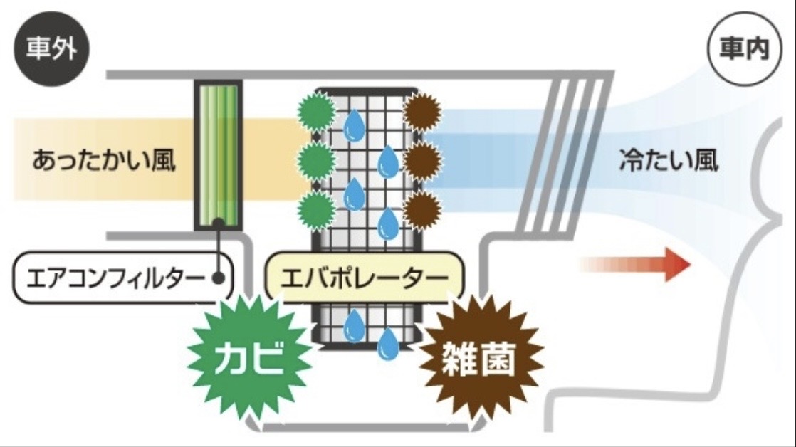 気になるエアコンの臭い対策と 春の車メンテポイント紹介🚗
