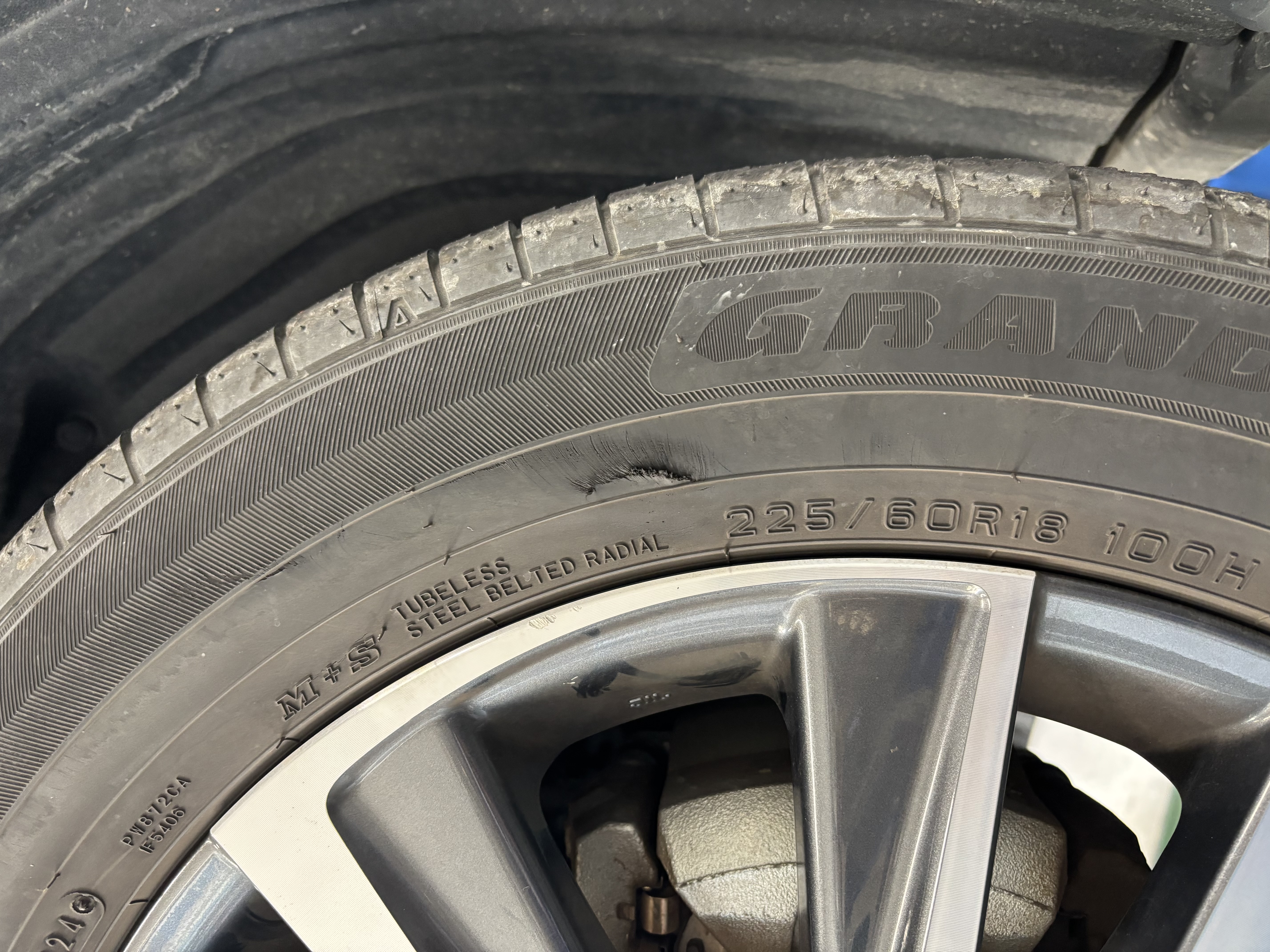 愛車メンテナンスポイントと無料点検のすすめ🚗