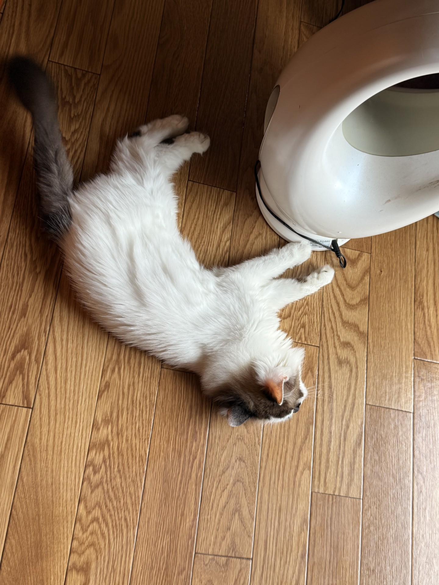 秋冬のタイヤ点検はセルフ長泉なめりSSで安心ドライブを🚗